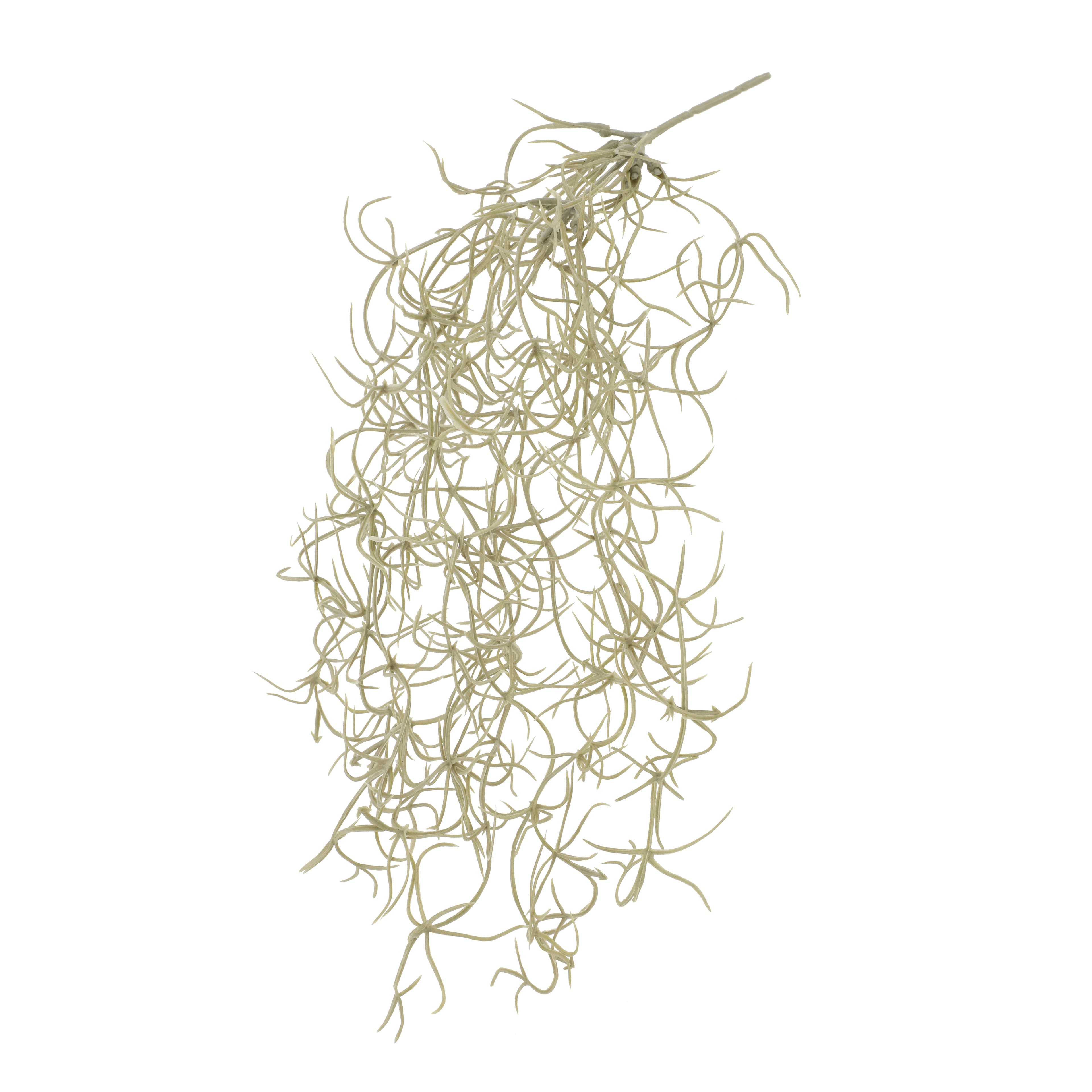 10" Gray Hanging Spanish Moss Pick by Ashland®