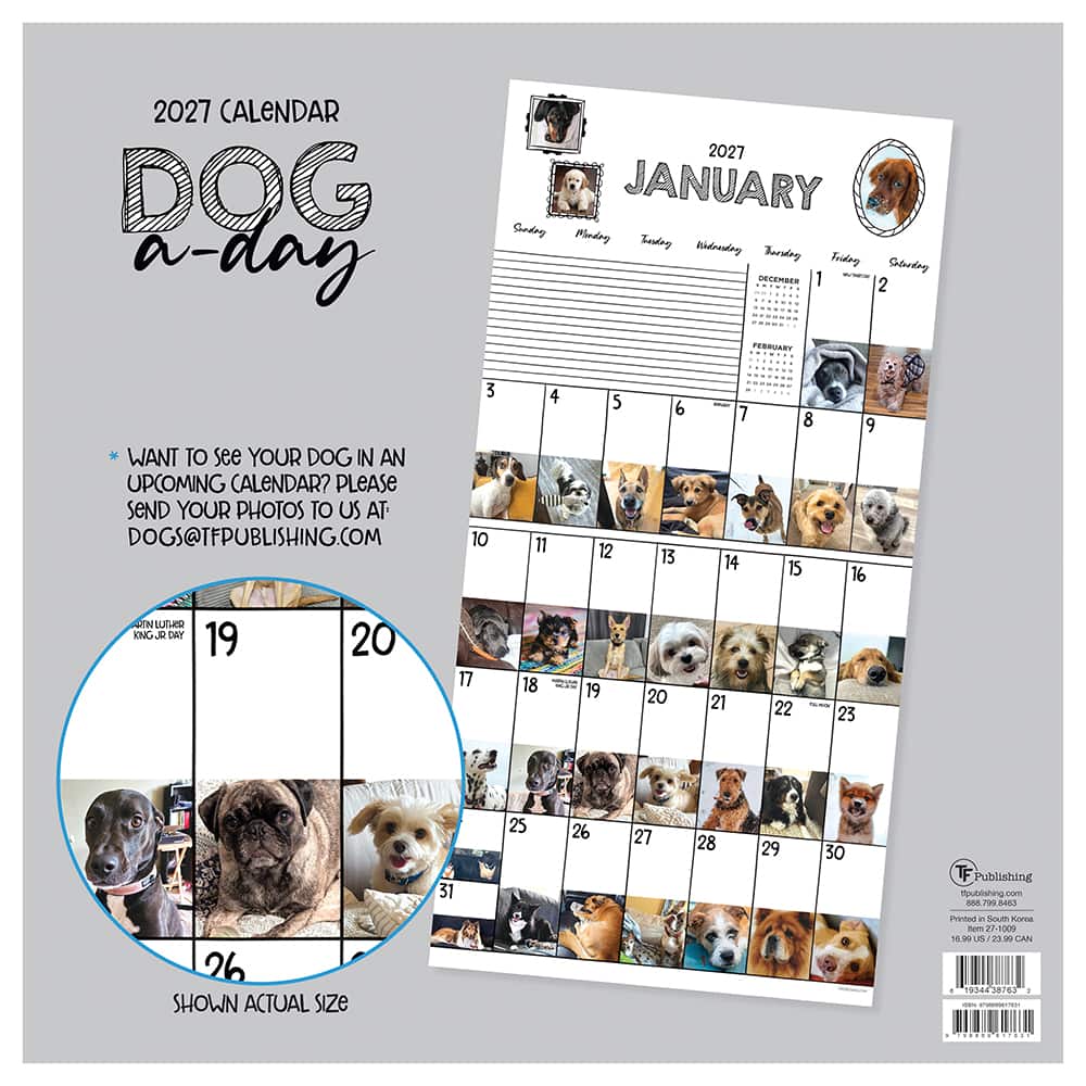 2027 Dog-A-Day Wall Calendar