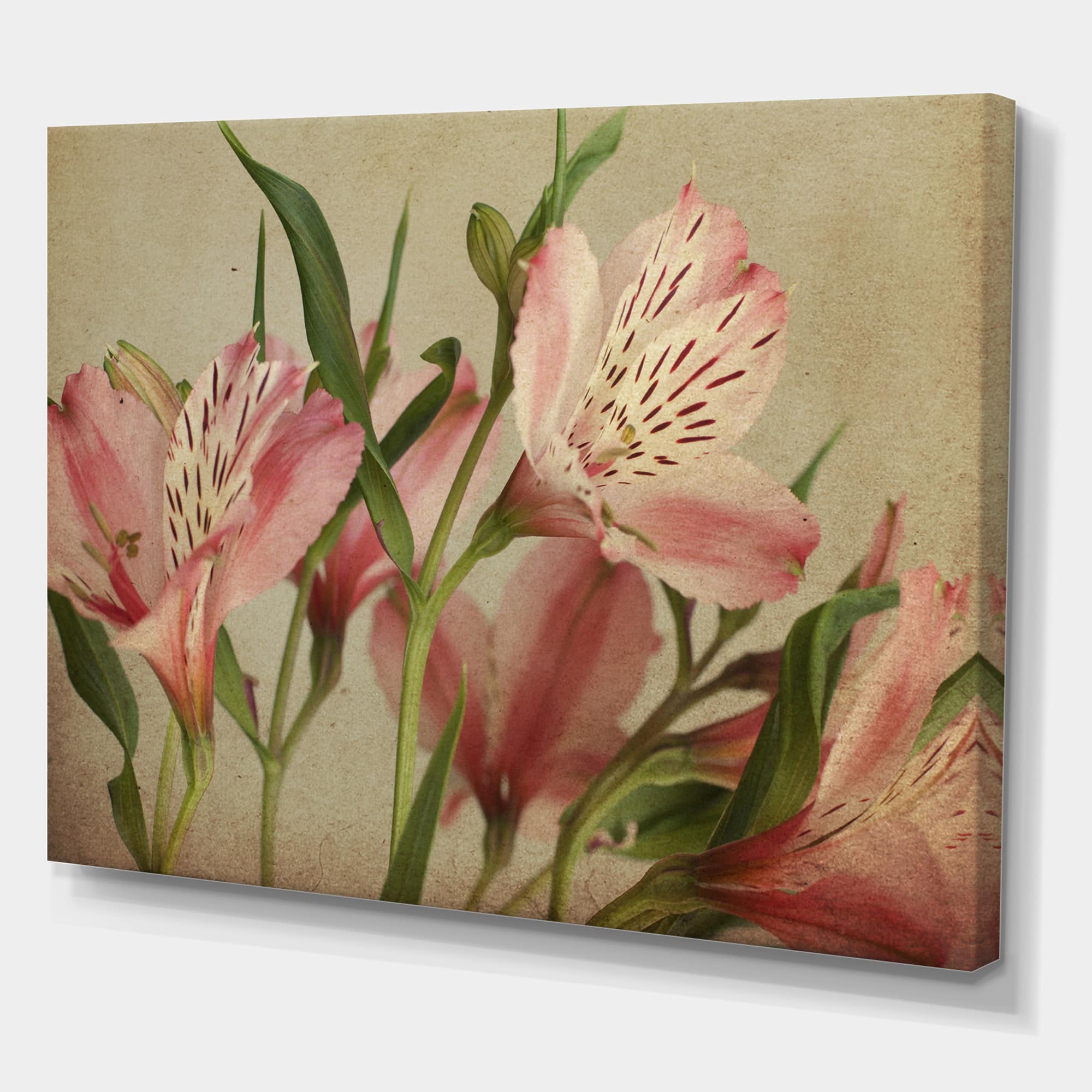 Designart - Retro Alstroemeria Flower - Traditional Canvas Wall Art Print