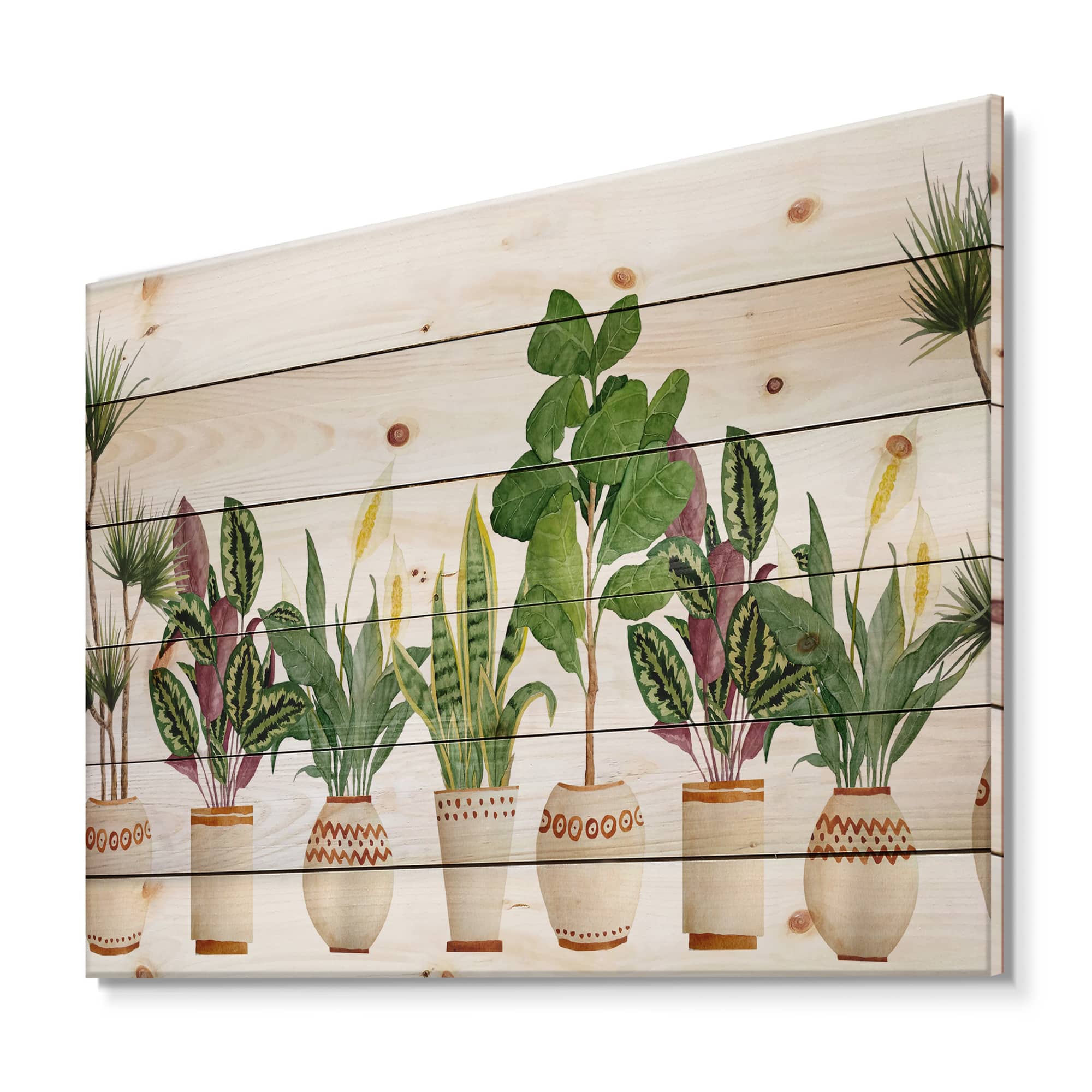 Designart - Trio of Houseplants Sanseviera Snake Plant - Farmhouse Print on Natural Pine Wood