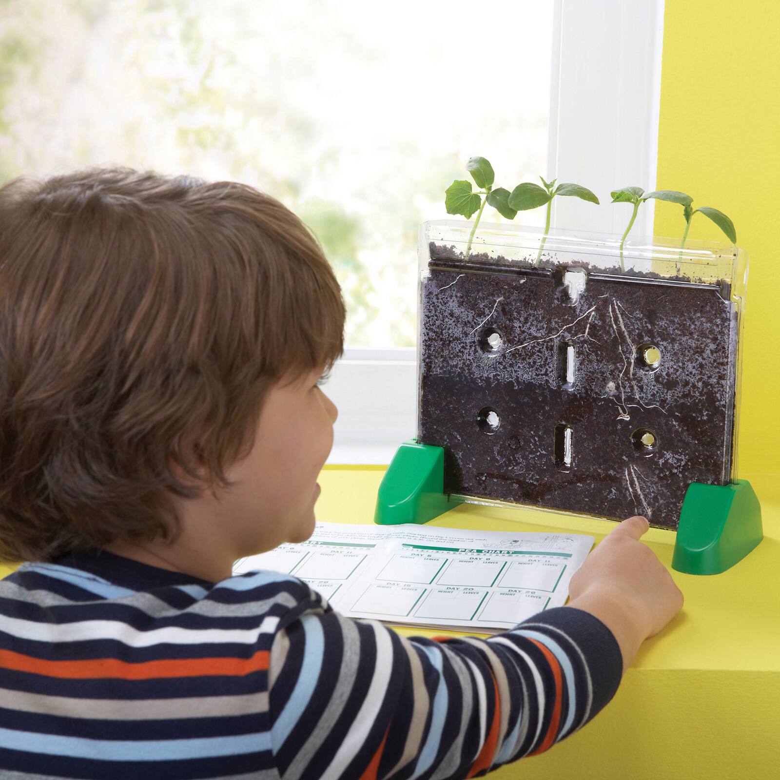 Sprout & Grow™ Window