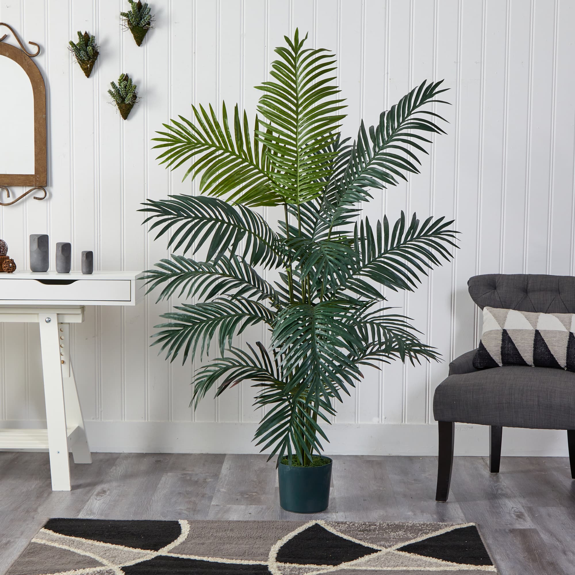 6ft. Potted Paradise Palm