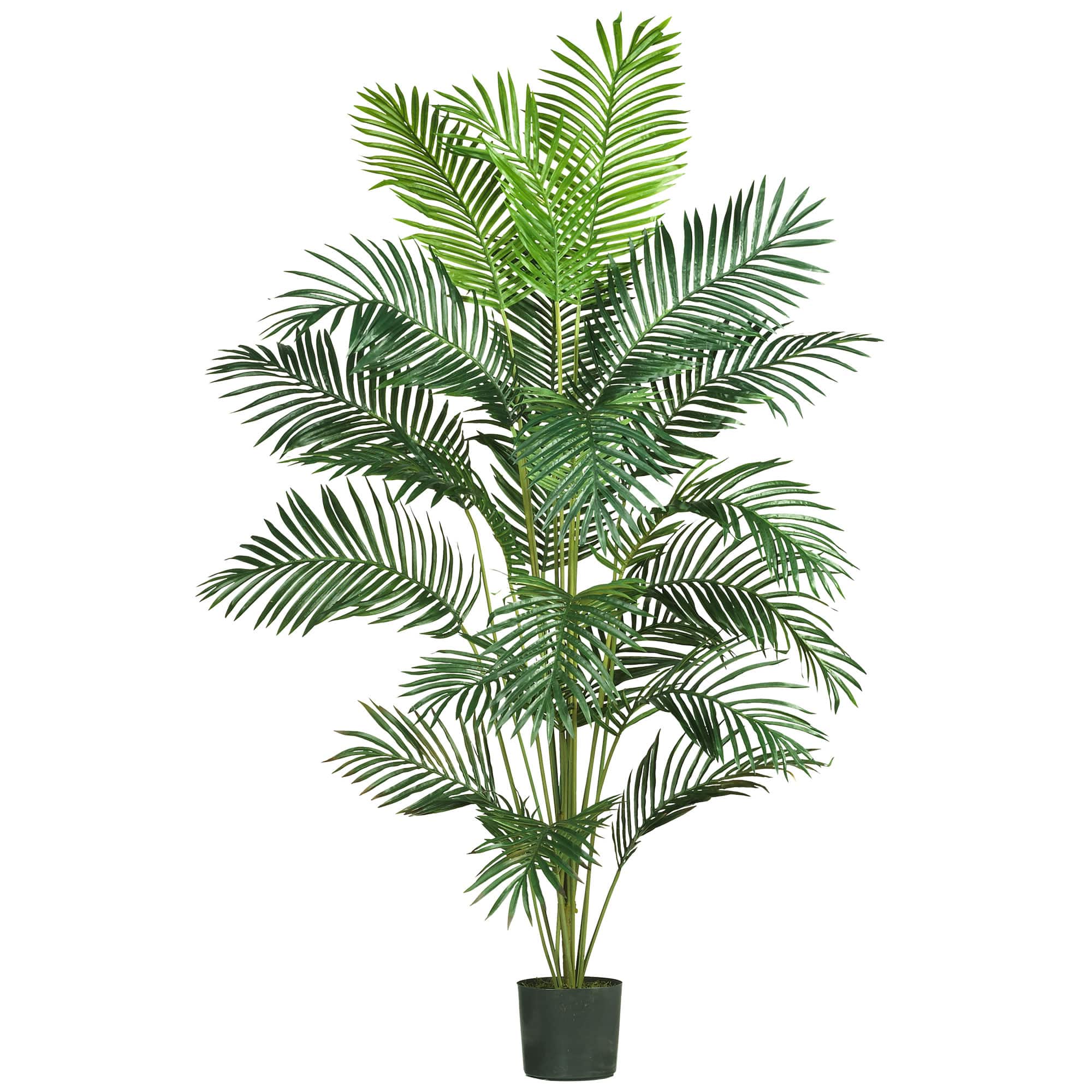 3ft. Agave Plant in Gray Cylinder Planter