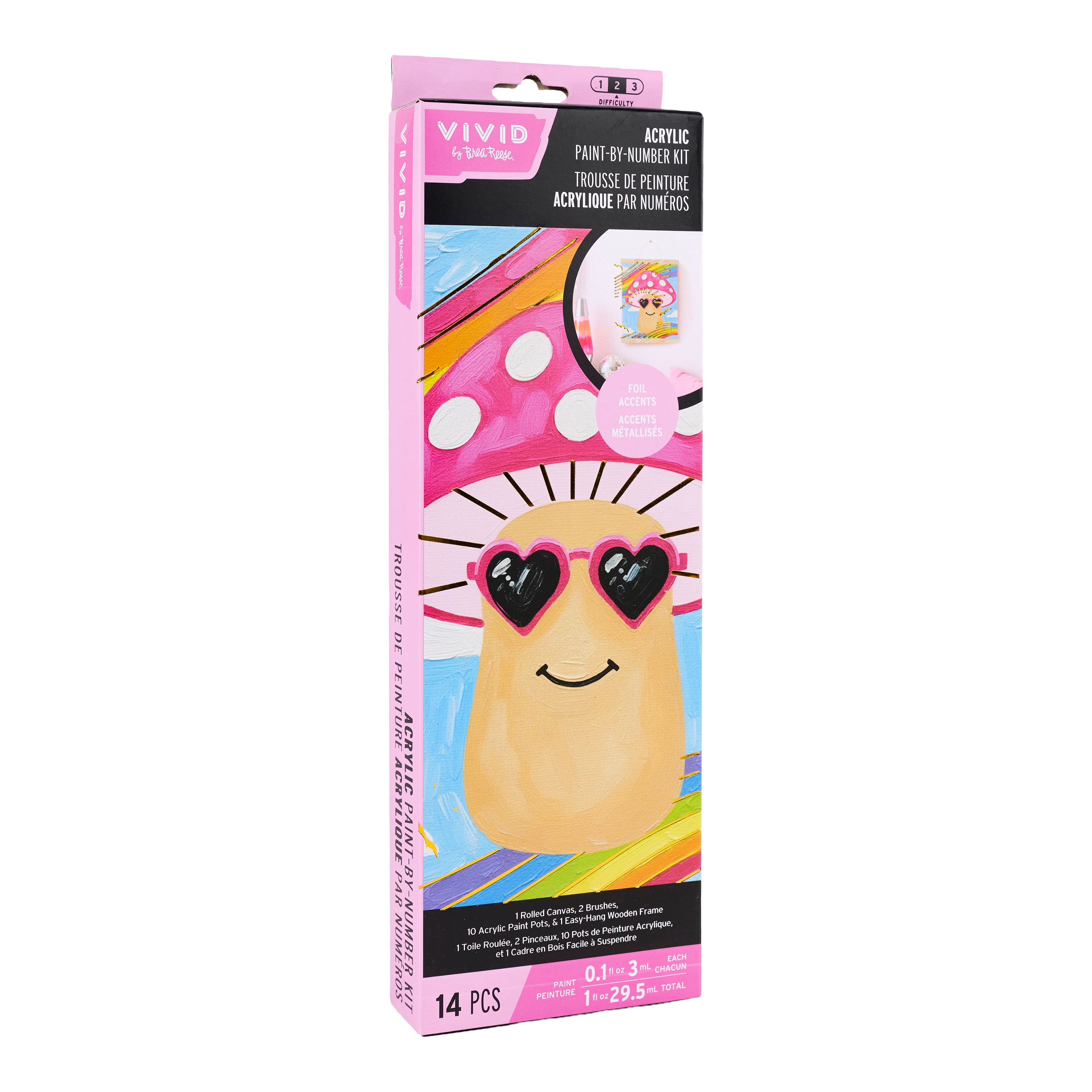 Vivid by Brea Reese® Happy Mushroom Canvas Acrylic Paint-by-Number Kit