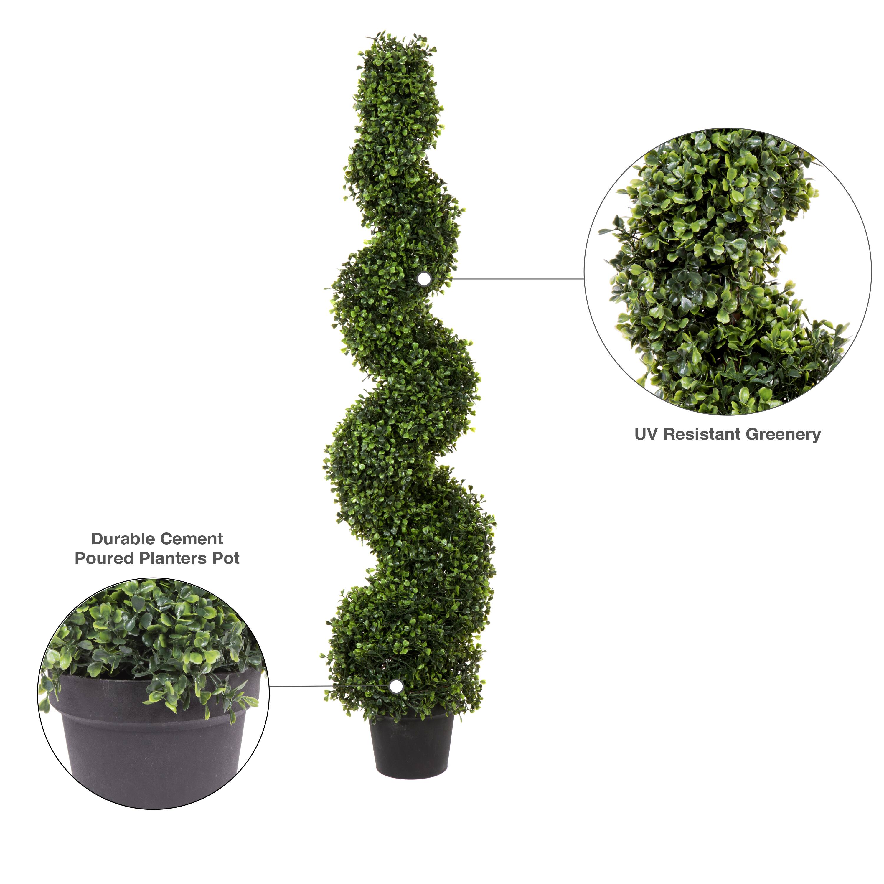 4ft. Potted Green Boxwood Spiral Tree