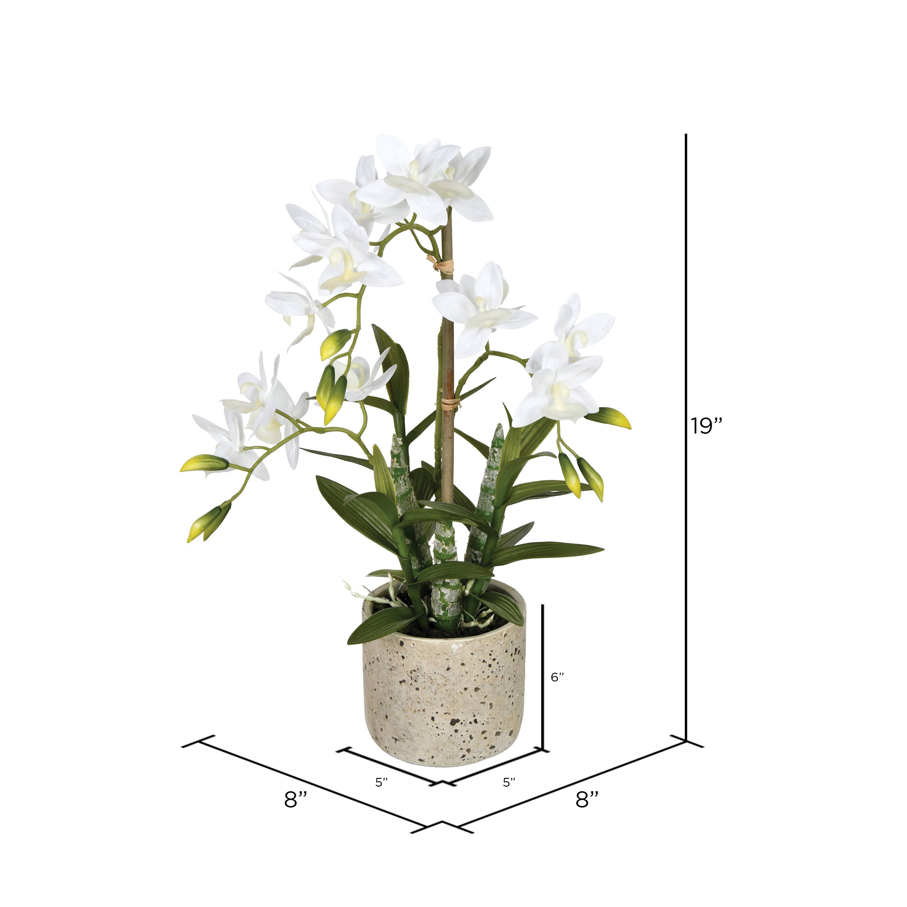 19" Artificial Deluxe Potted Cycnoches Orchid