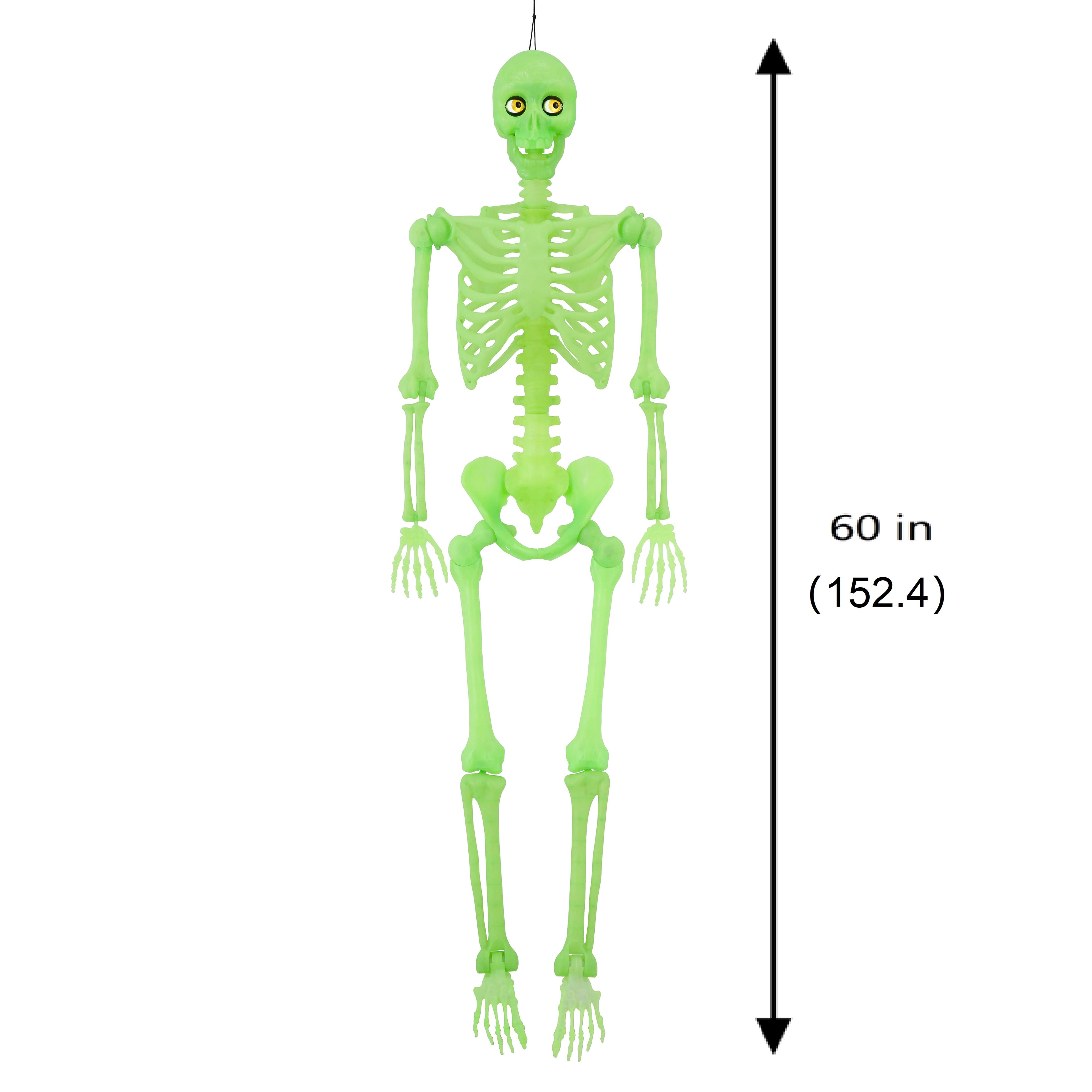 5ft. Glow-in-the-Dark Animated Skeleton by Ashland®