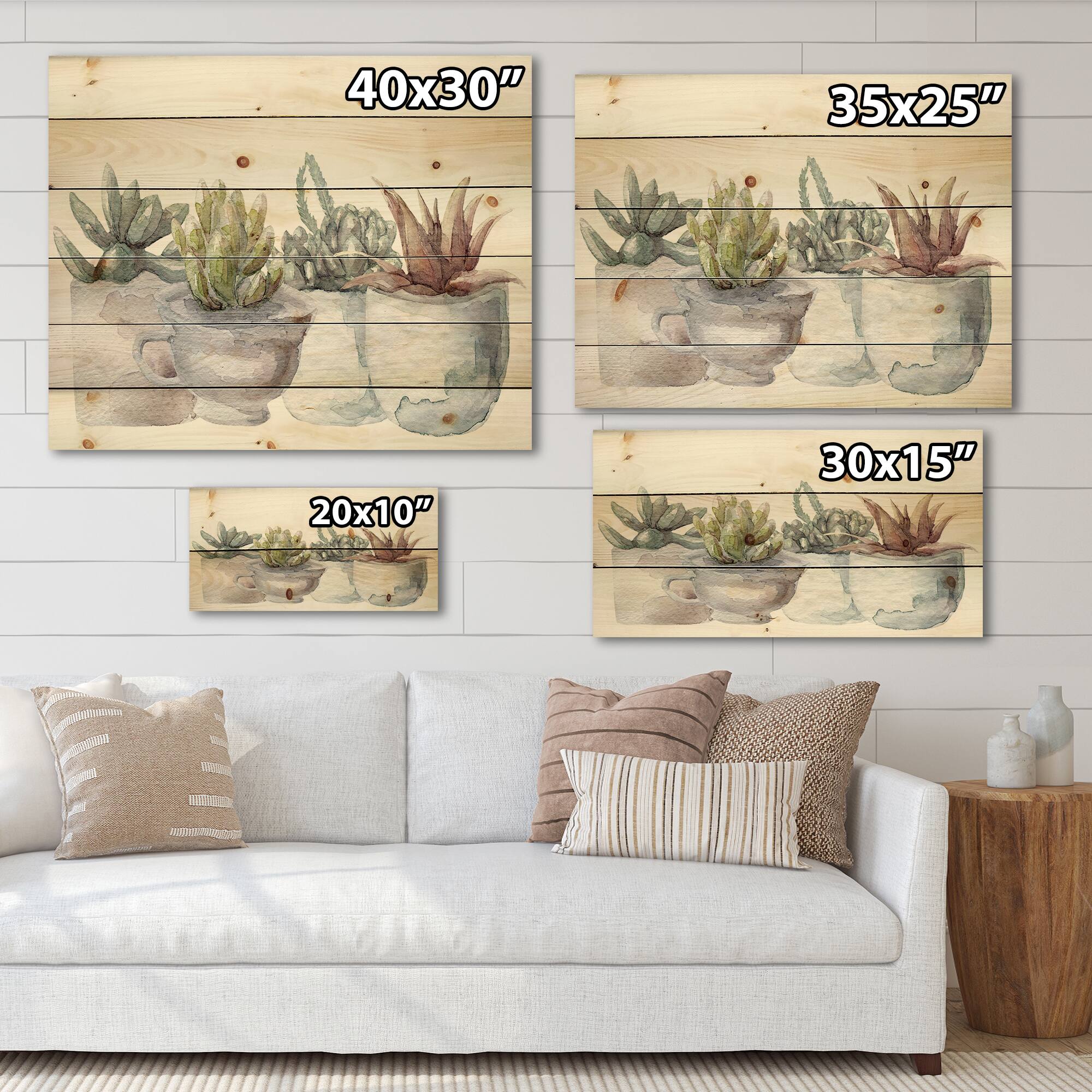 Designart - Cactus and Succulent House Plants IV - Botanical Print on Natural Pine Wood