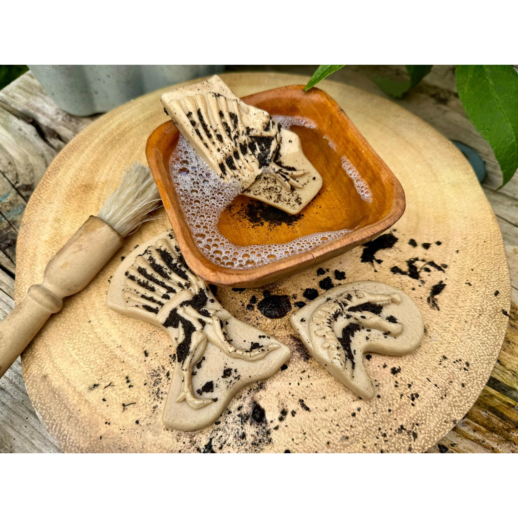Yellow Door Dig & Discover Triceratops & Spinosaurus Dinosaur Skeletons Set