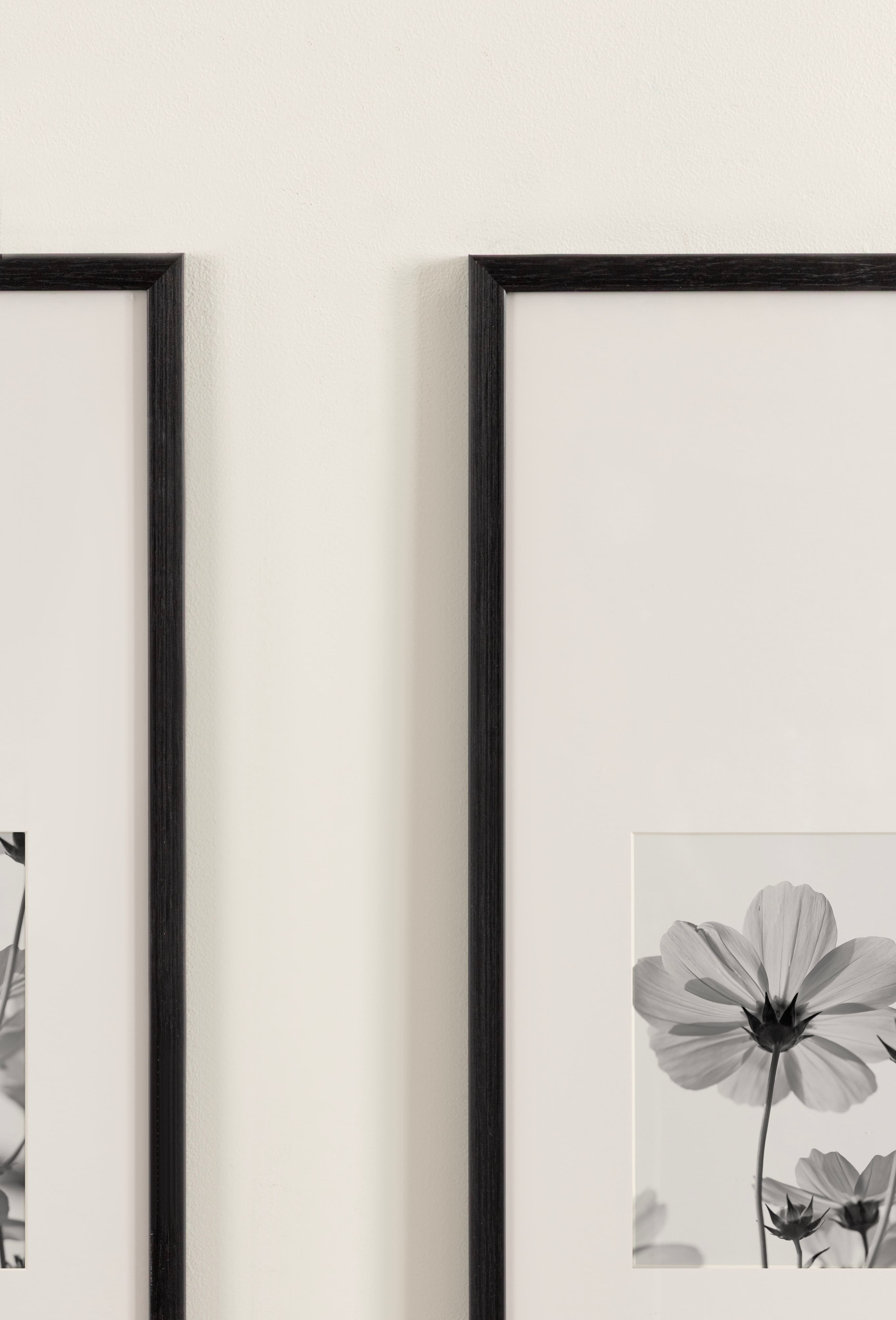 Kate and Laurel Gallery 14" x 30" Photo Frames 8" x 10" with Mat, 2ct.