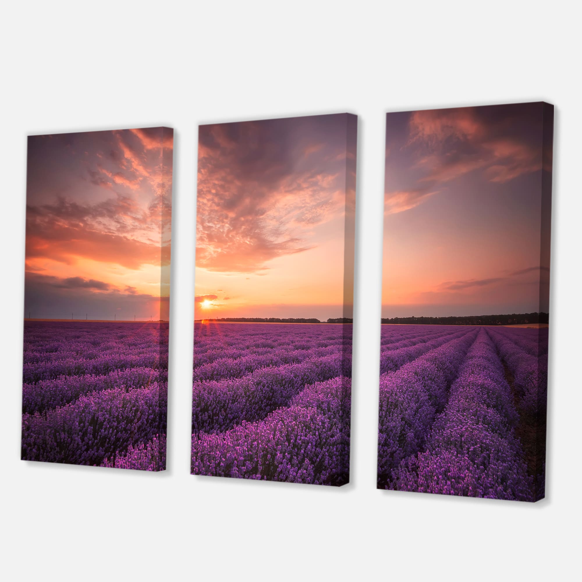 Designart - Sunrise & Dramatic Clouds Over Lavender Field XII - Farmhouse Canvas Wall Art Print