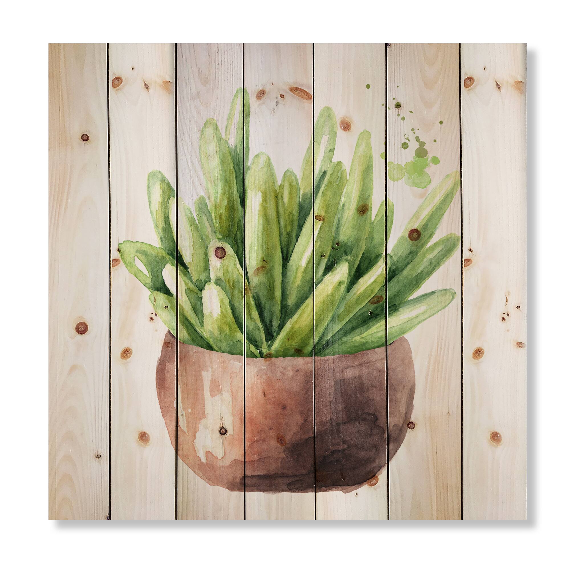 Designart - Succulent Flower In Terracotta Pot I - Traditional Print on Natural Pine Wood