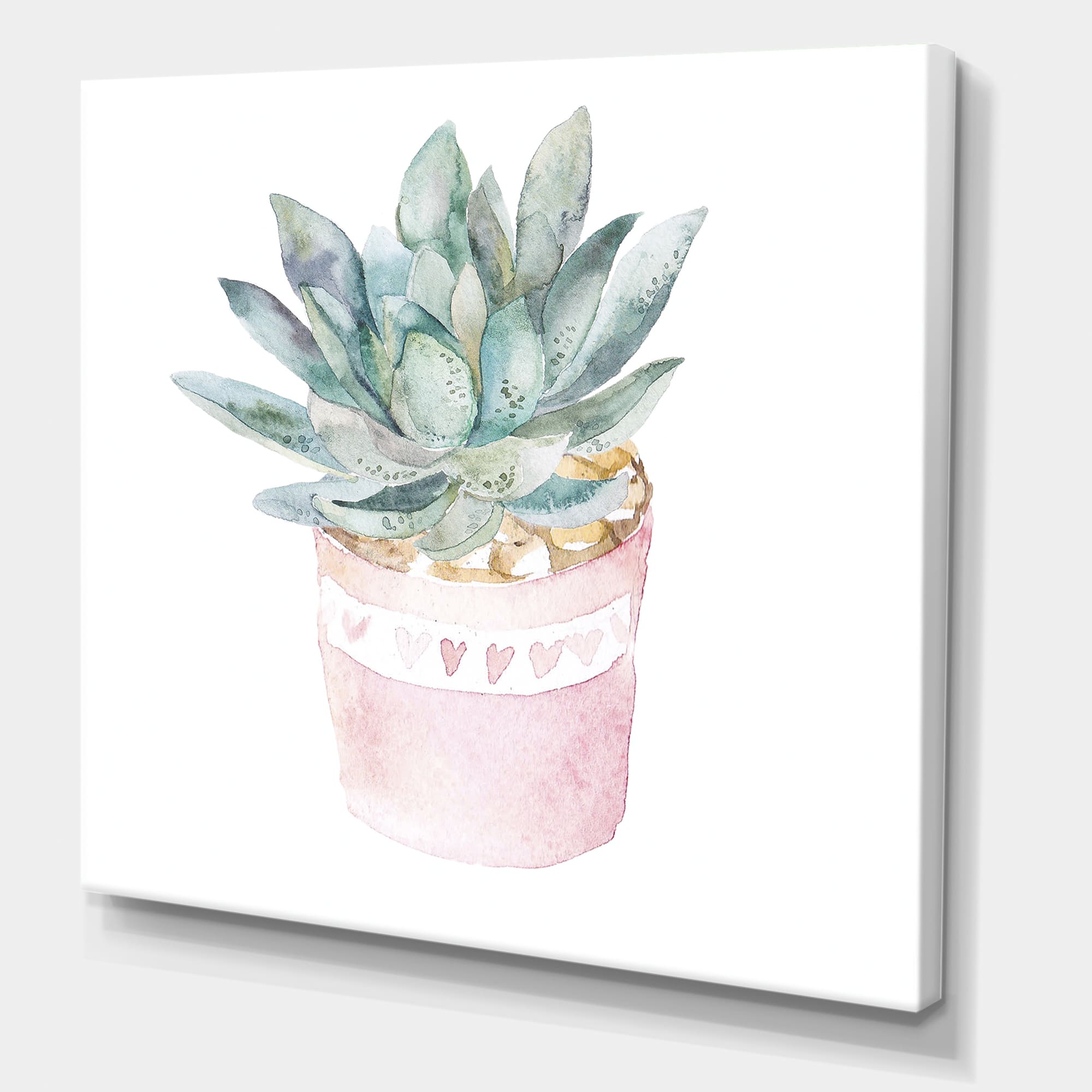 Designart - Cactus and Succulent House Plants II