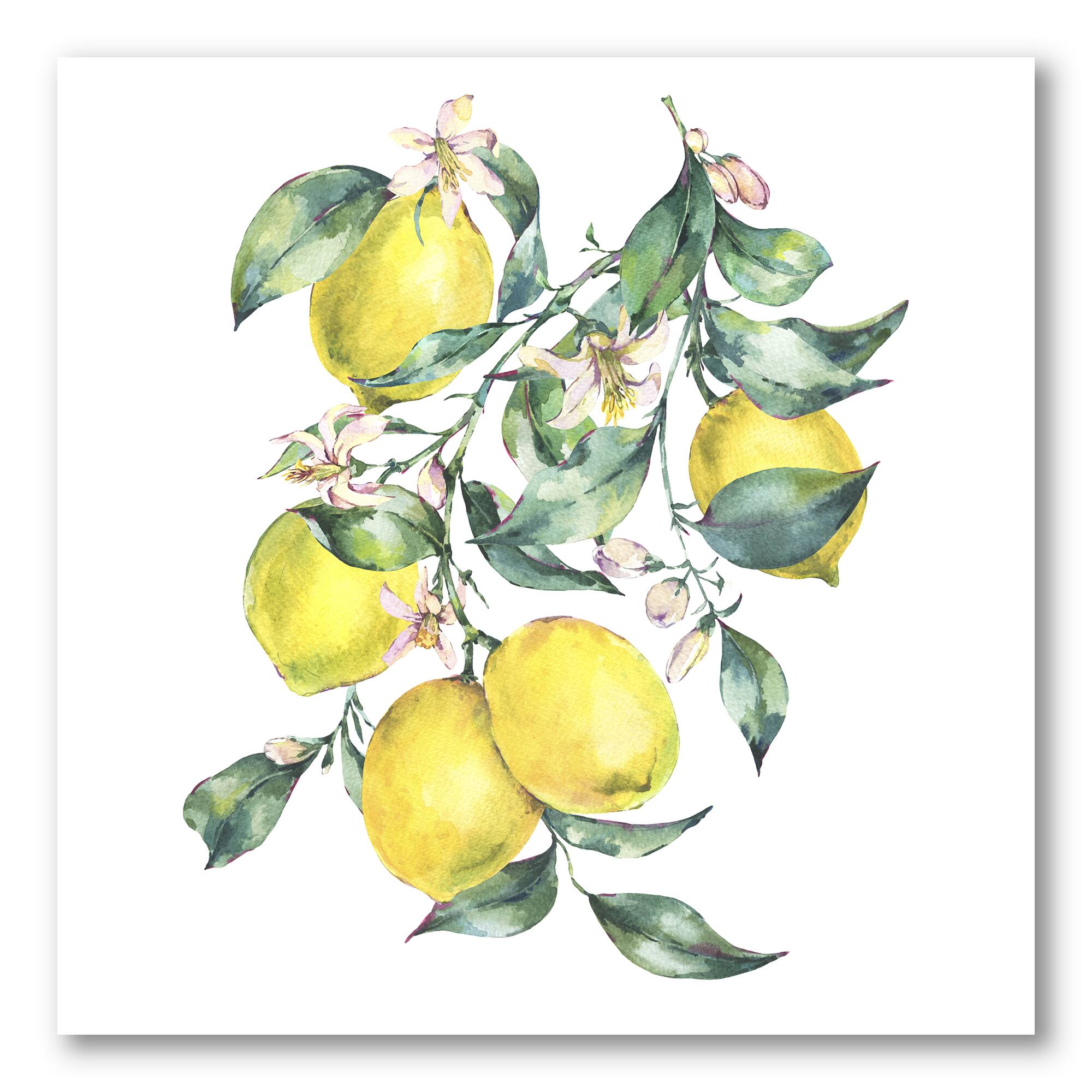 Designart - Branch of Yellow Lemons and Leaves I