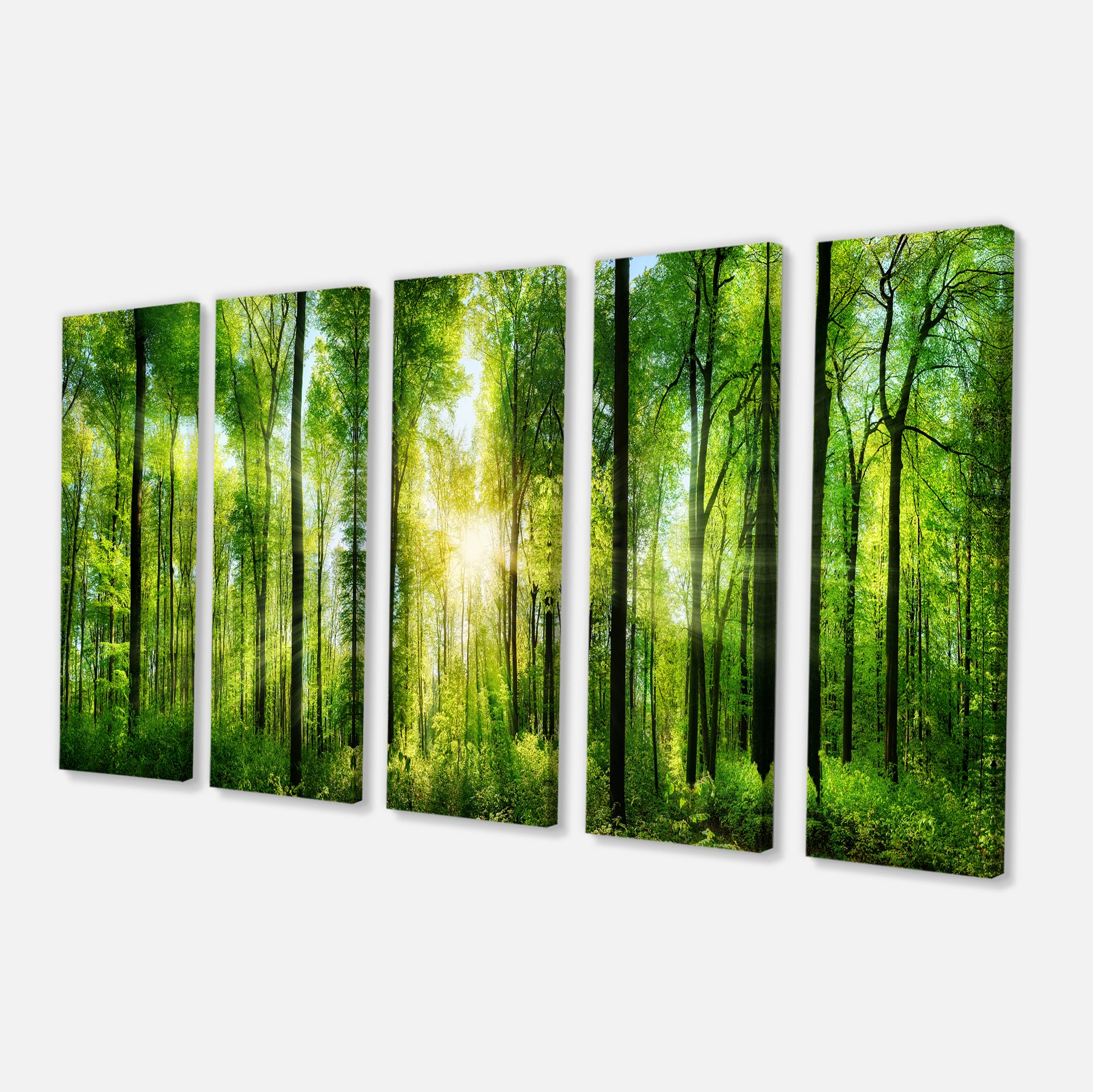 Designart - Forest with Rays of Sun Panorama - Landscape Art Print Canvas