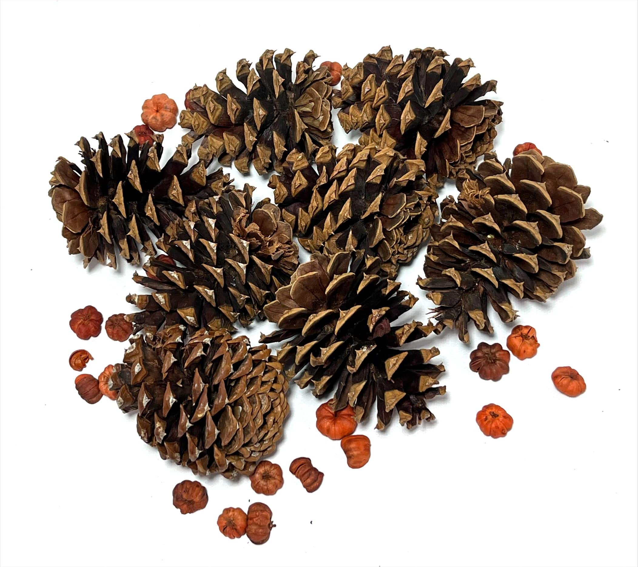 3qt. Pecan Caramel Scented Pinecones by Ashland®