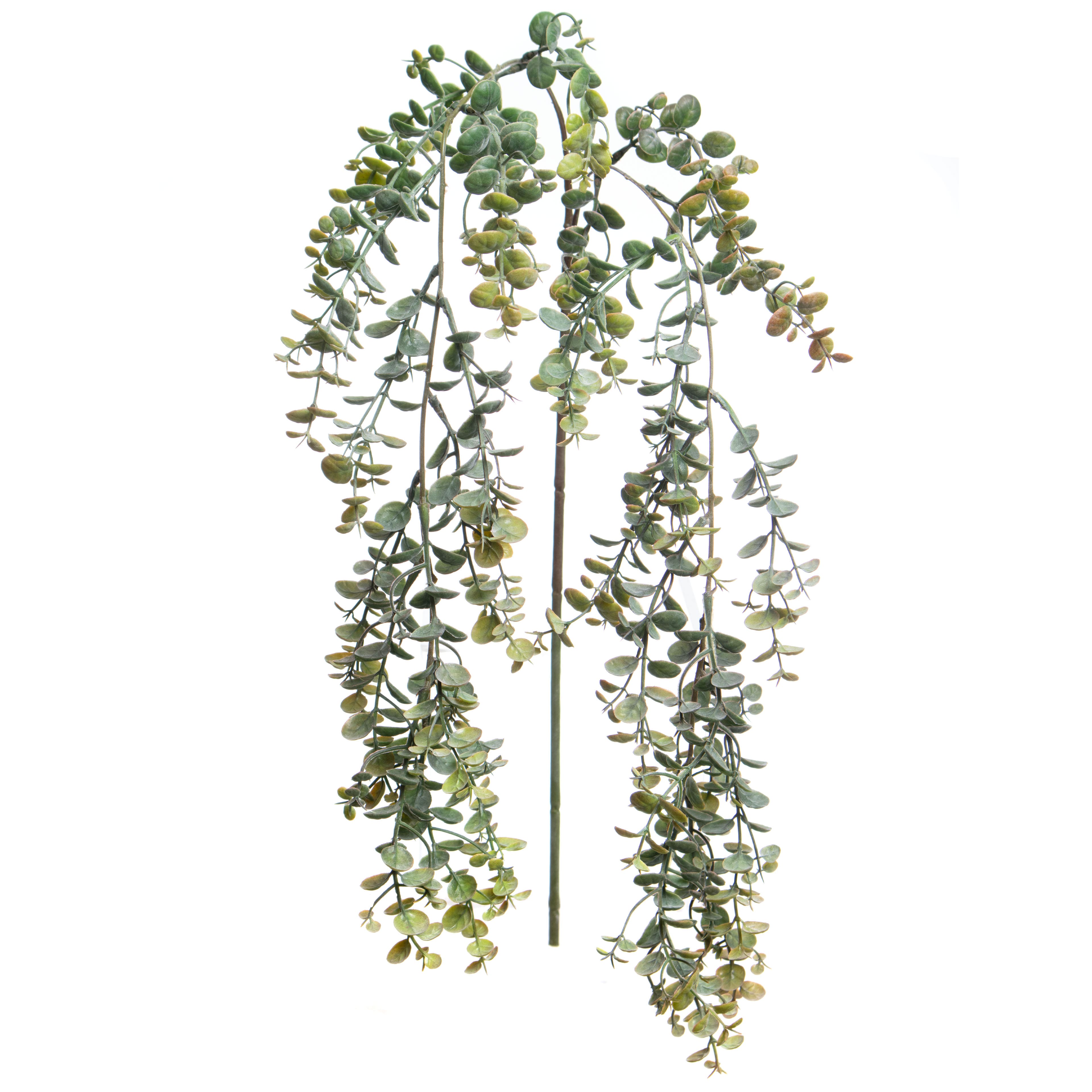 22" Green Hanging Eucalyptus by Ashland®