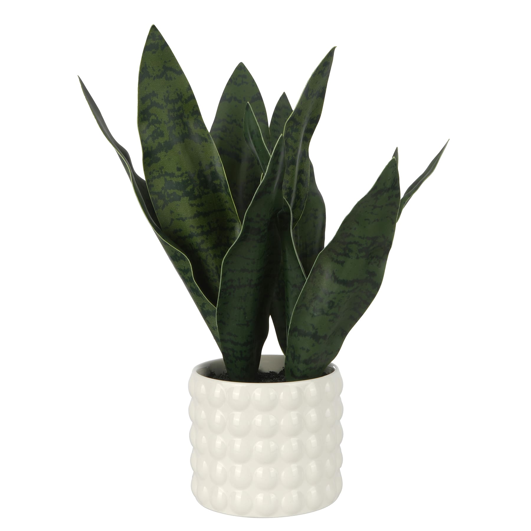 15.5" Snake Plant in White Bubble Pot by Ashland®