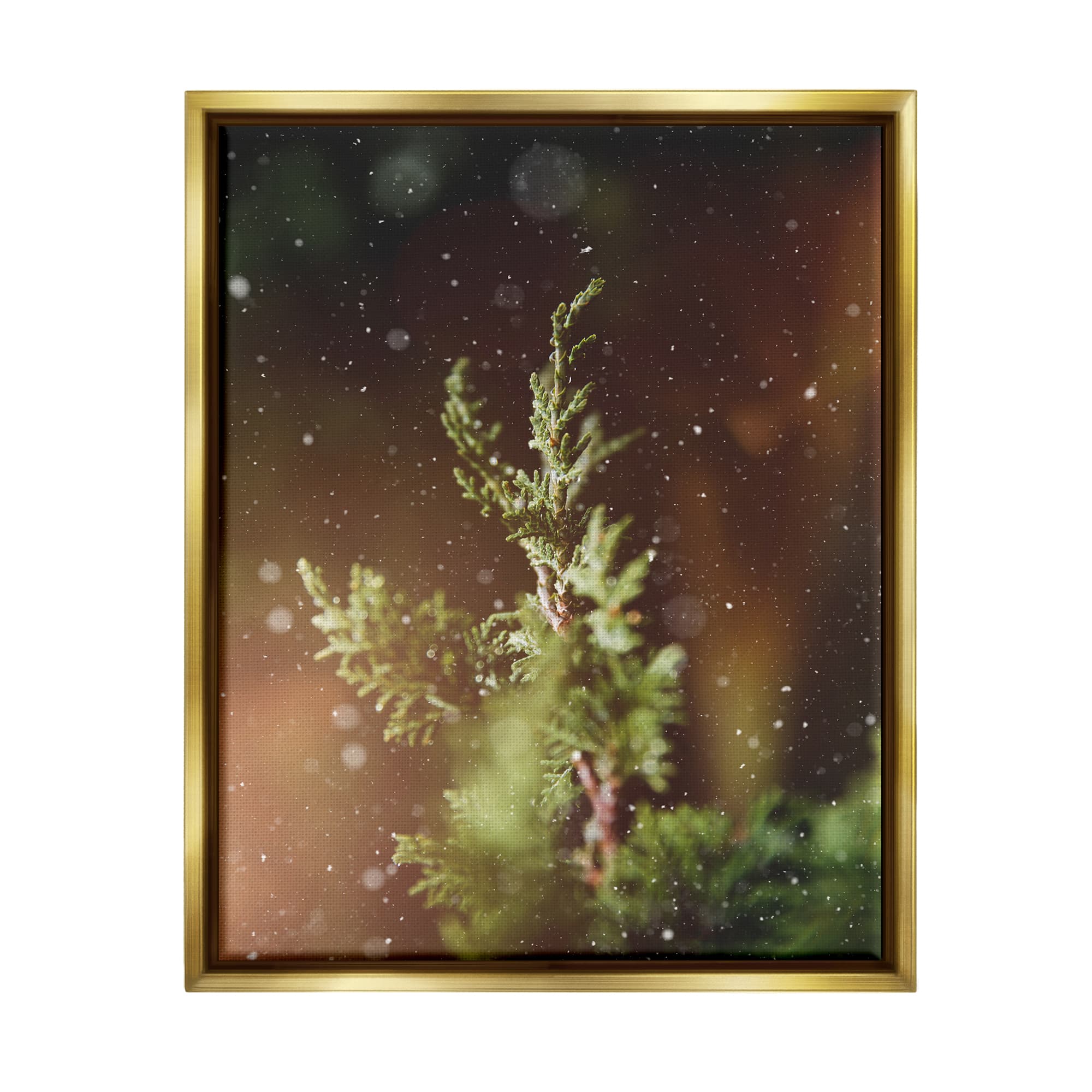 Stupell Industries Winter Snowfall Night Pine Tree Framed Floater Canvas Wall Art