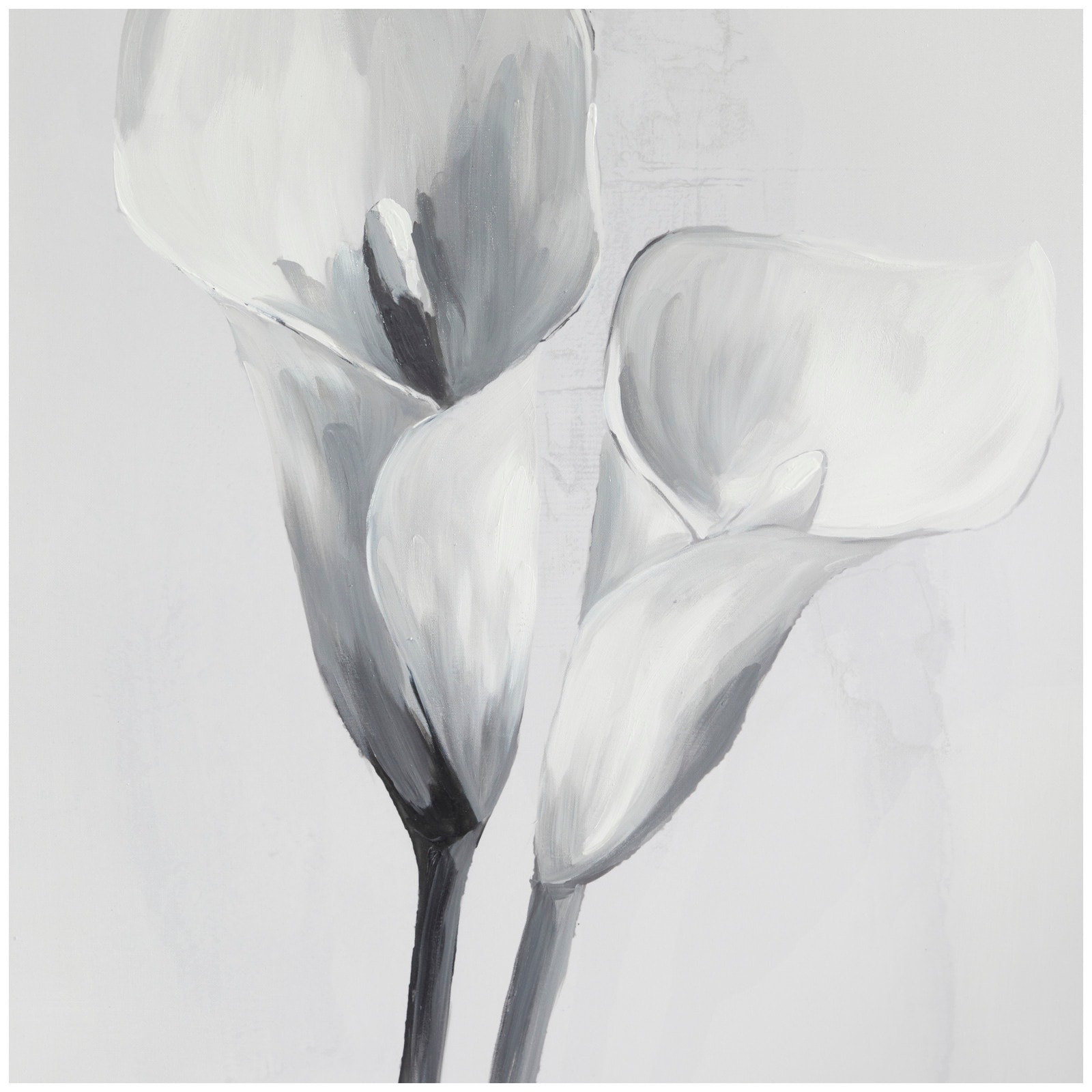 White Canvas Shaded Tulip Floral Framed Wall Art with Black Frame 37" x 1" x 37"