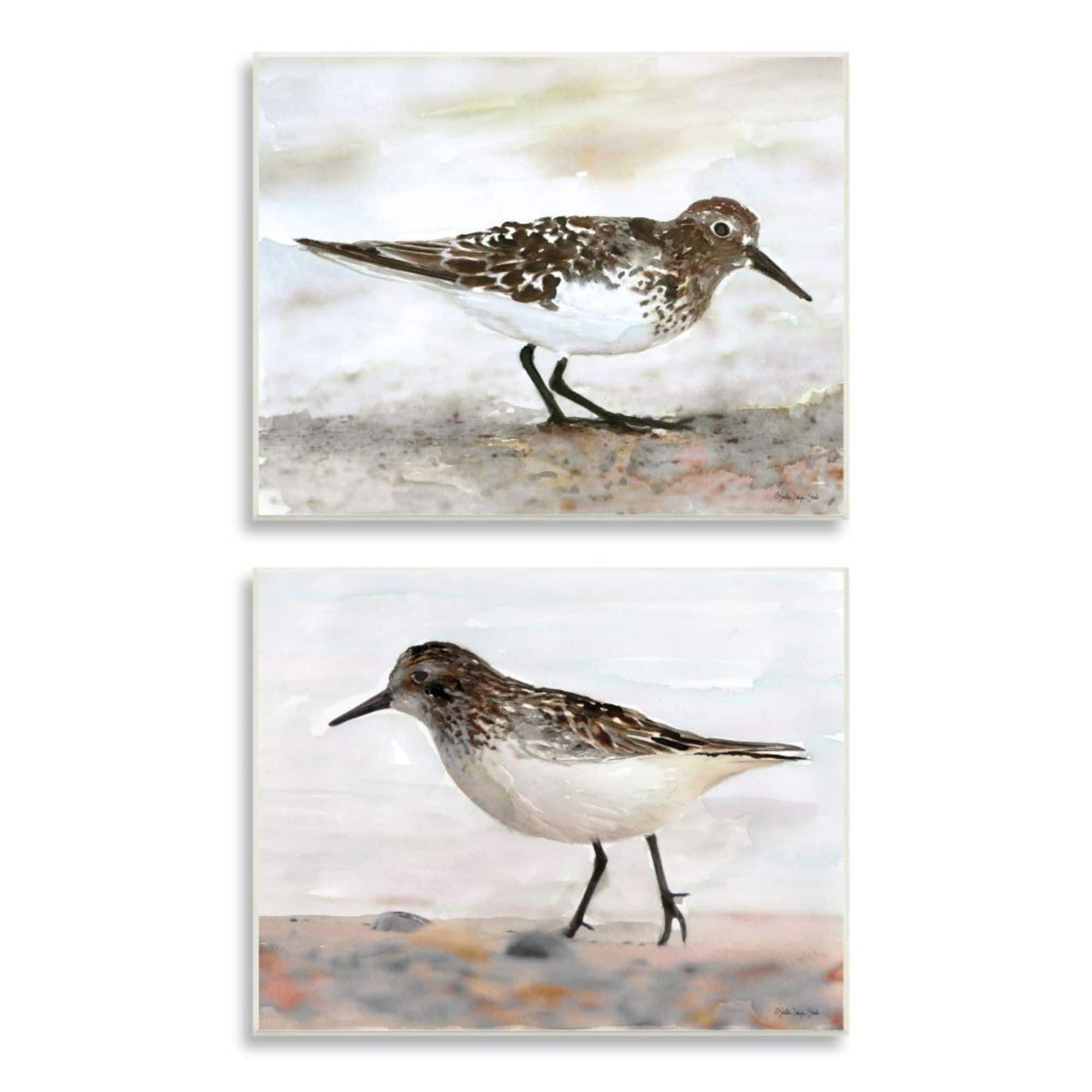 Stupell Industries Sandpipers on Coast Nautical Bird Beach Scene Wood Wall Plaque