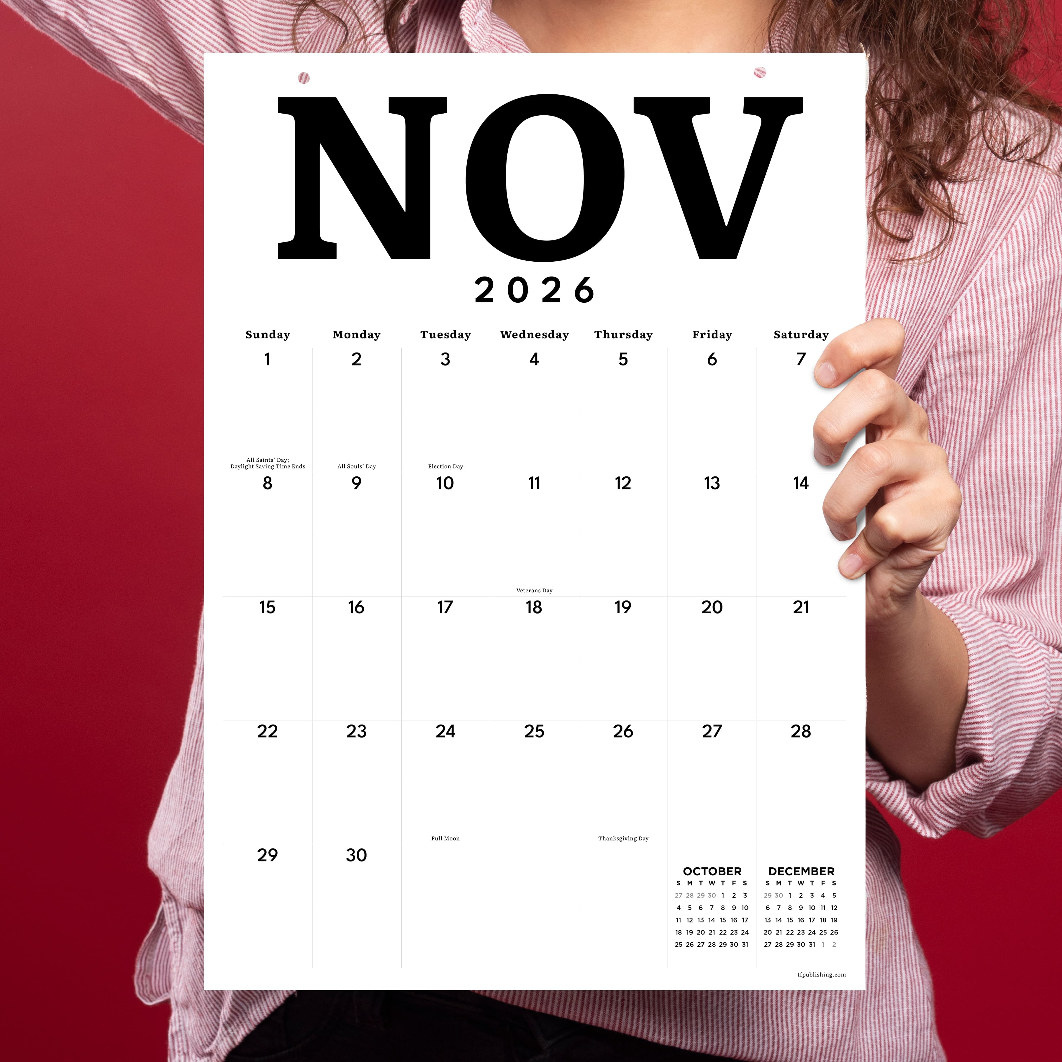 TF Publishing Medium 2026-27 Art Poster Wall Calendar