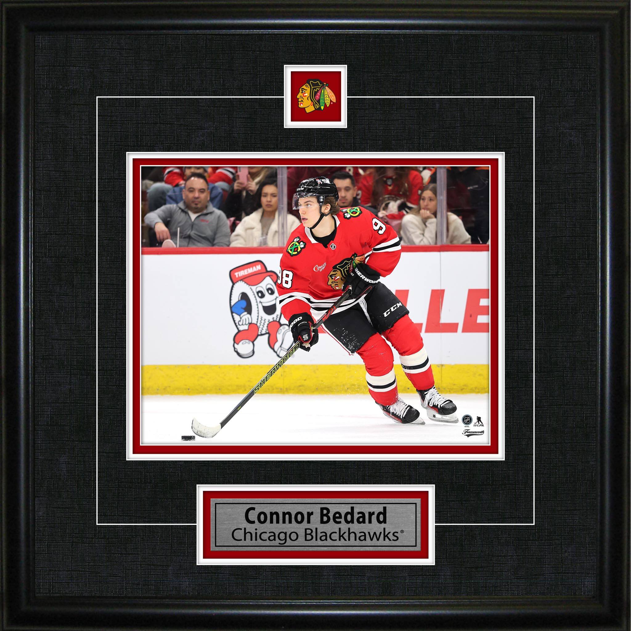 Connor Bedard Framed Pin & Plate Chicago Blackhawks 18" x 18"