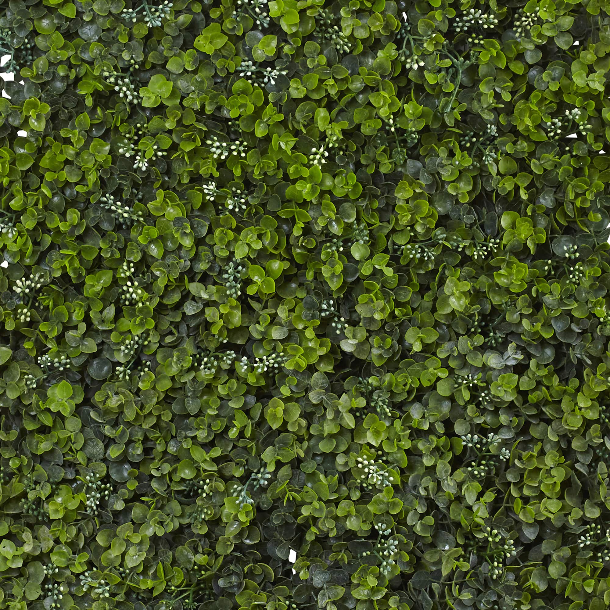 Eucalyptus Mat Set