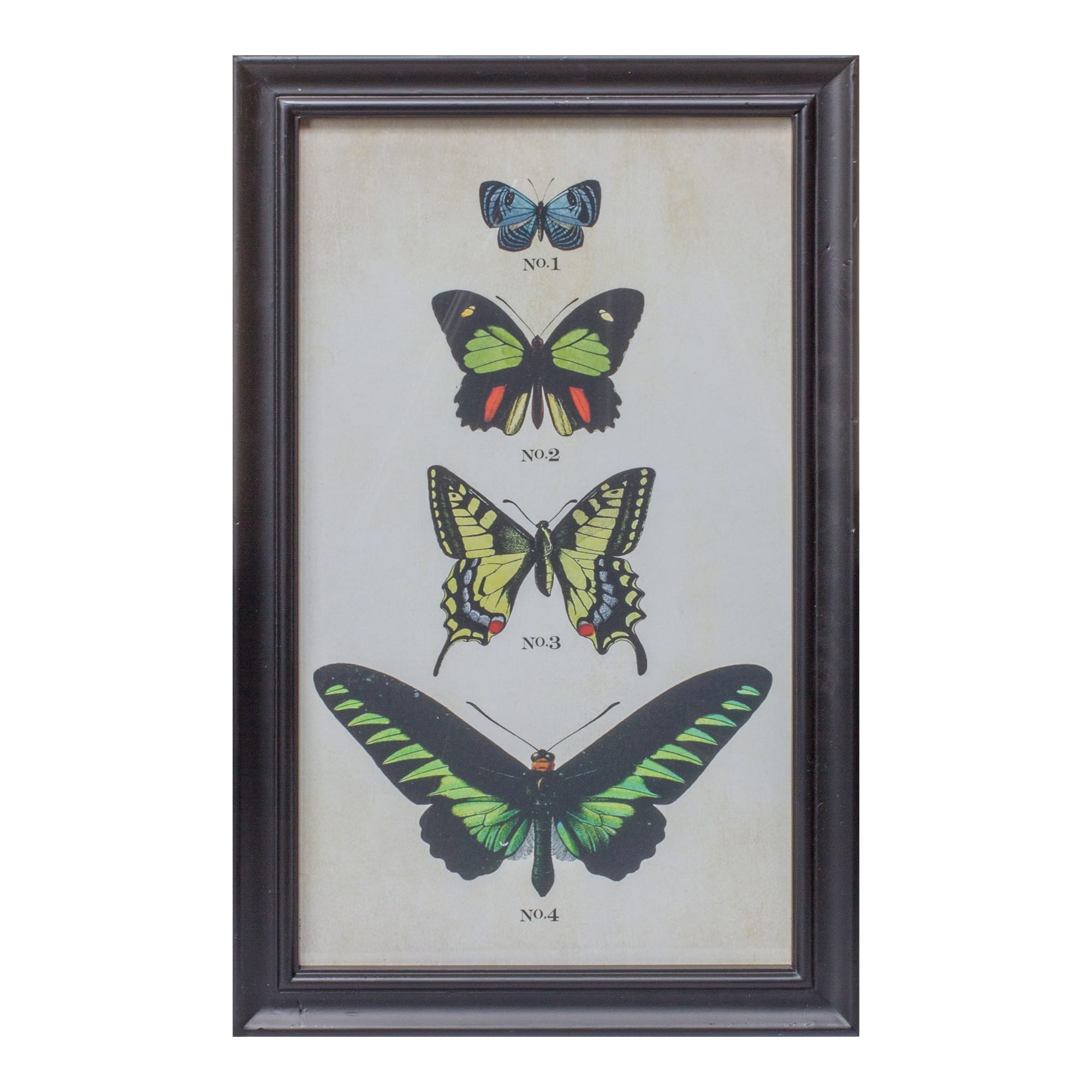 Framed Butterfly Print Set