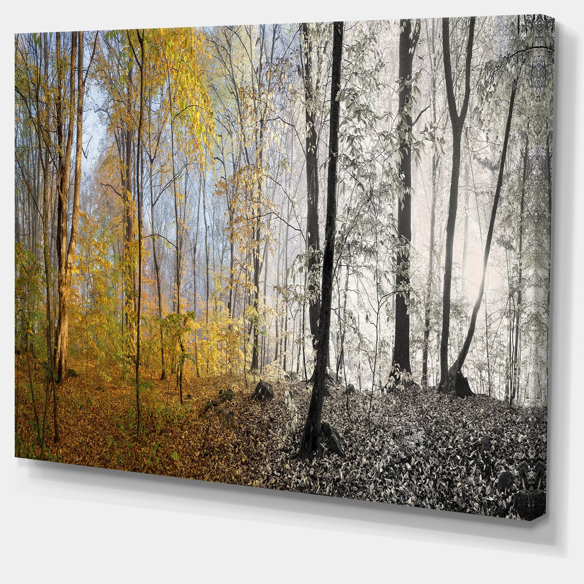 Designart - Yellow Morning in Forest Panorama
