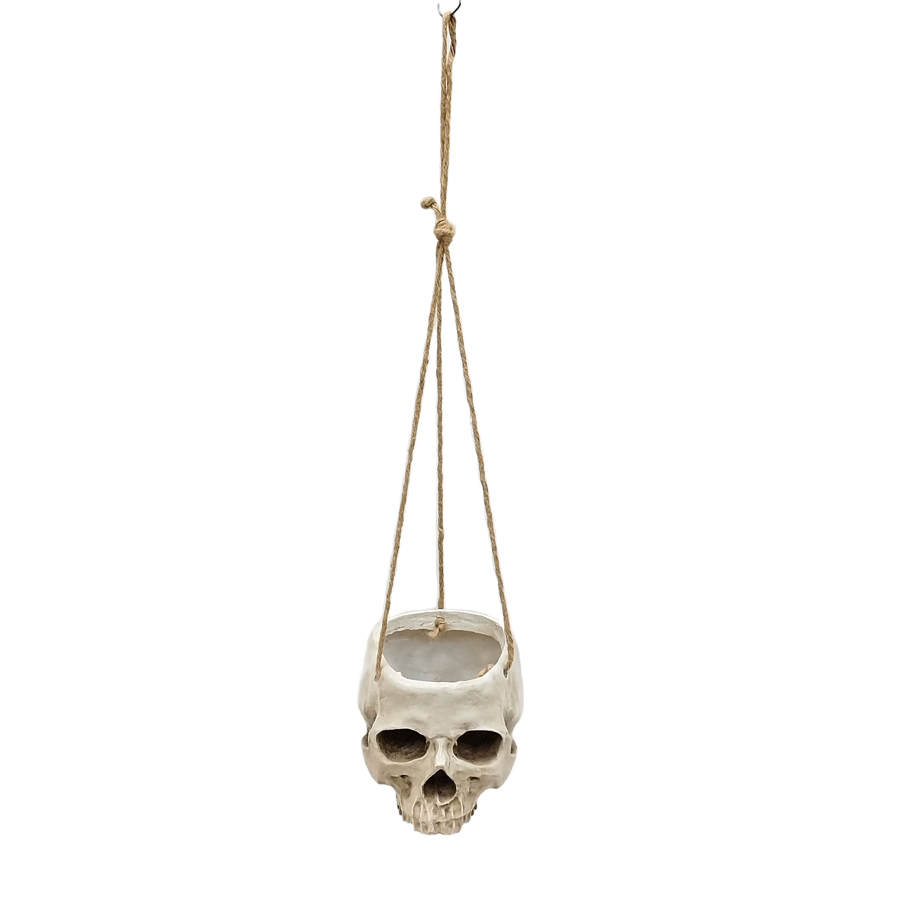 Skull Hanging Container by Ashland