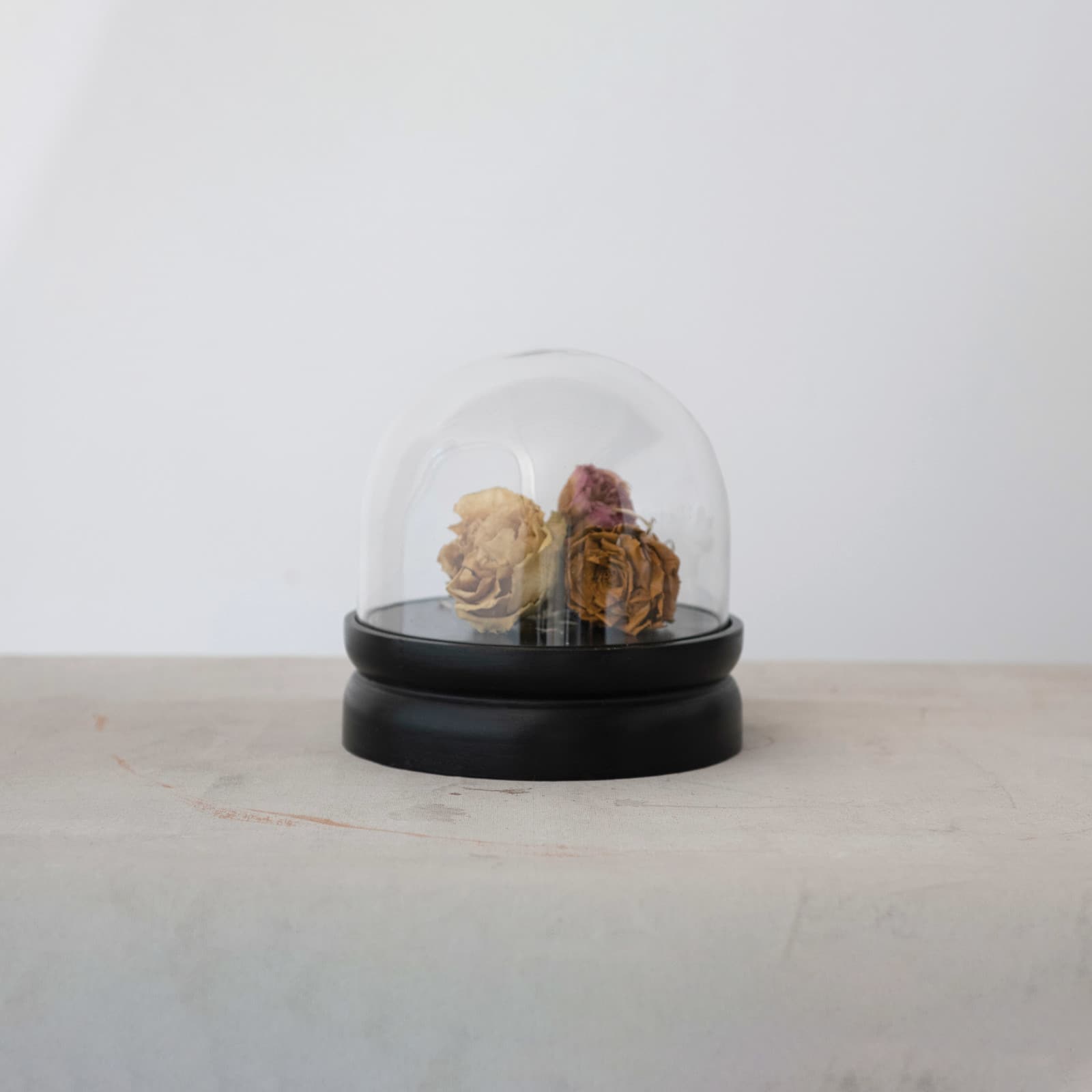 Hello Honey® 8.5" Glass Cloche with Black Mango Wood Base Set