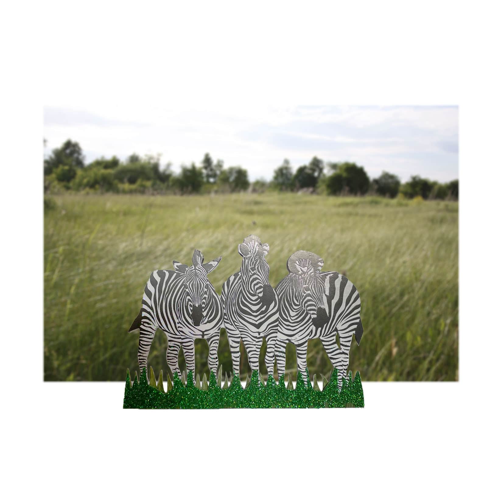 Zebra Stickers by Recollections™