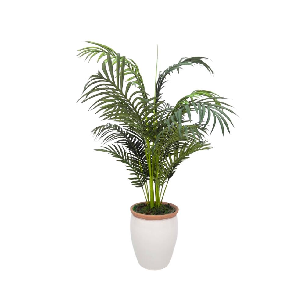 House of Silk Flowers 4ft. Faux Areca Palm in Glossy White Ceramic Urn with Terracotta Rim