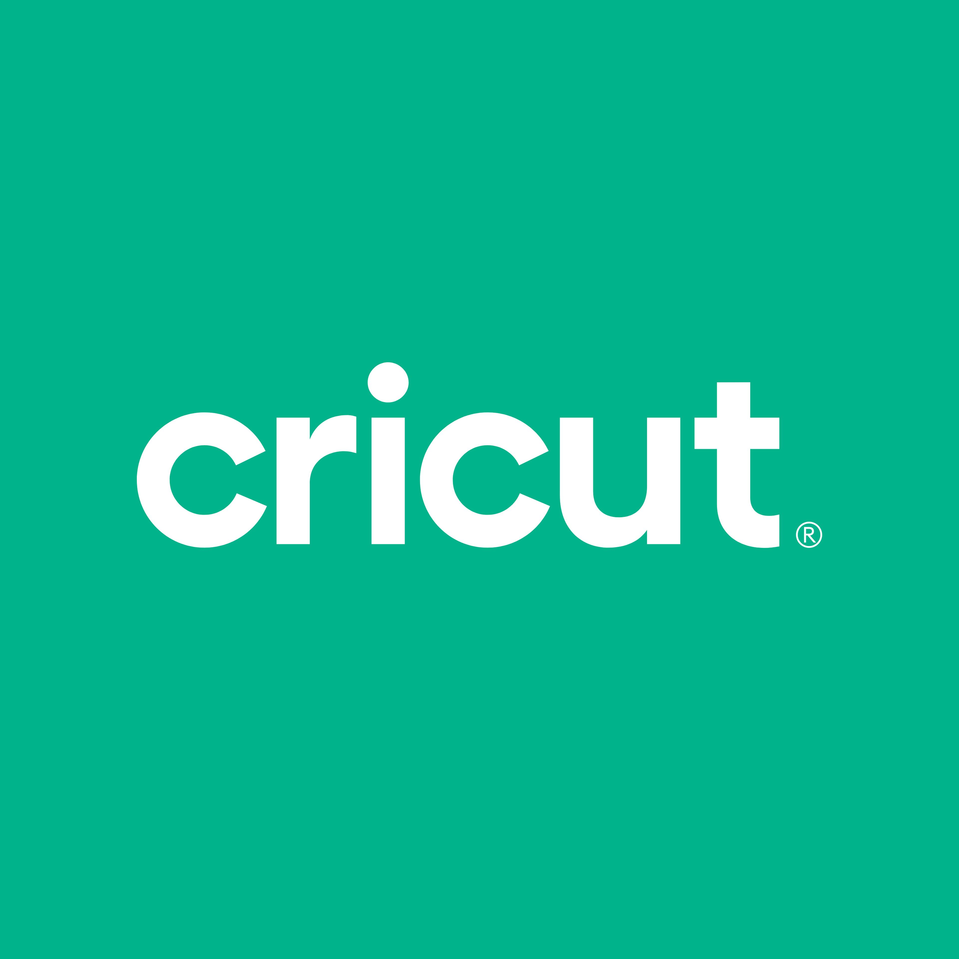 Cricut Joy™ Smart Label™ Removable Writable Vinyl, Transparent