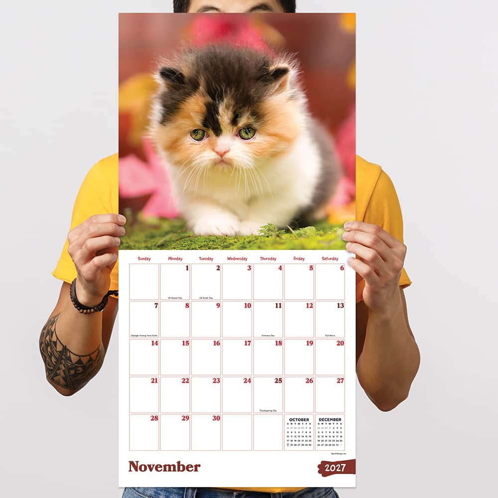 2027 Kittens Wall Calendar