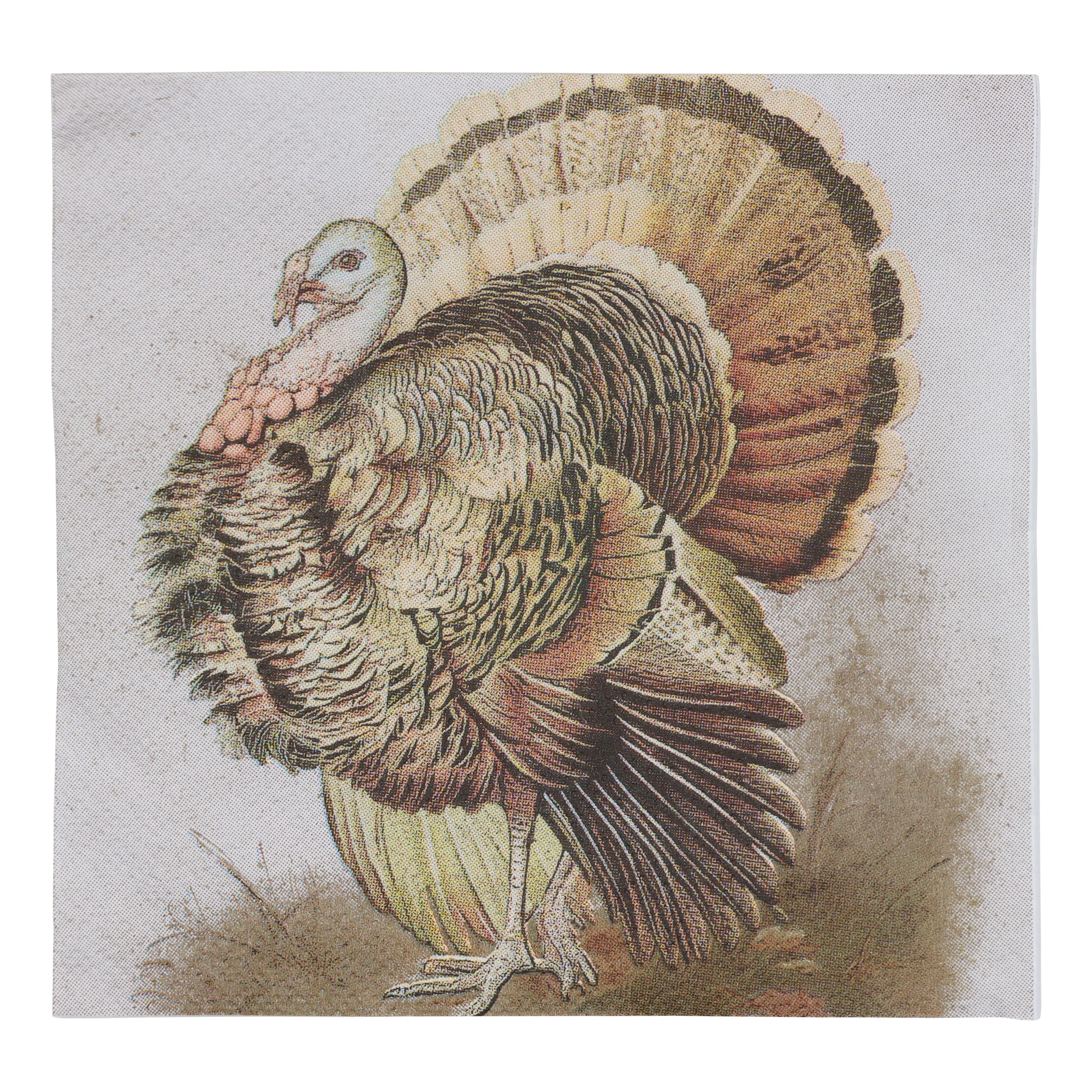 Michaels, Thanksgiving Turkey Beverage Napkins, 20ct. by Celebrate It™ – Category: Thanksgiving Party Supplies