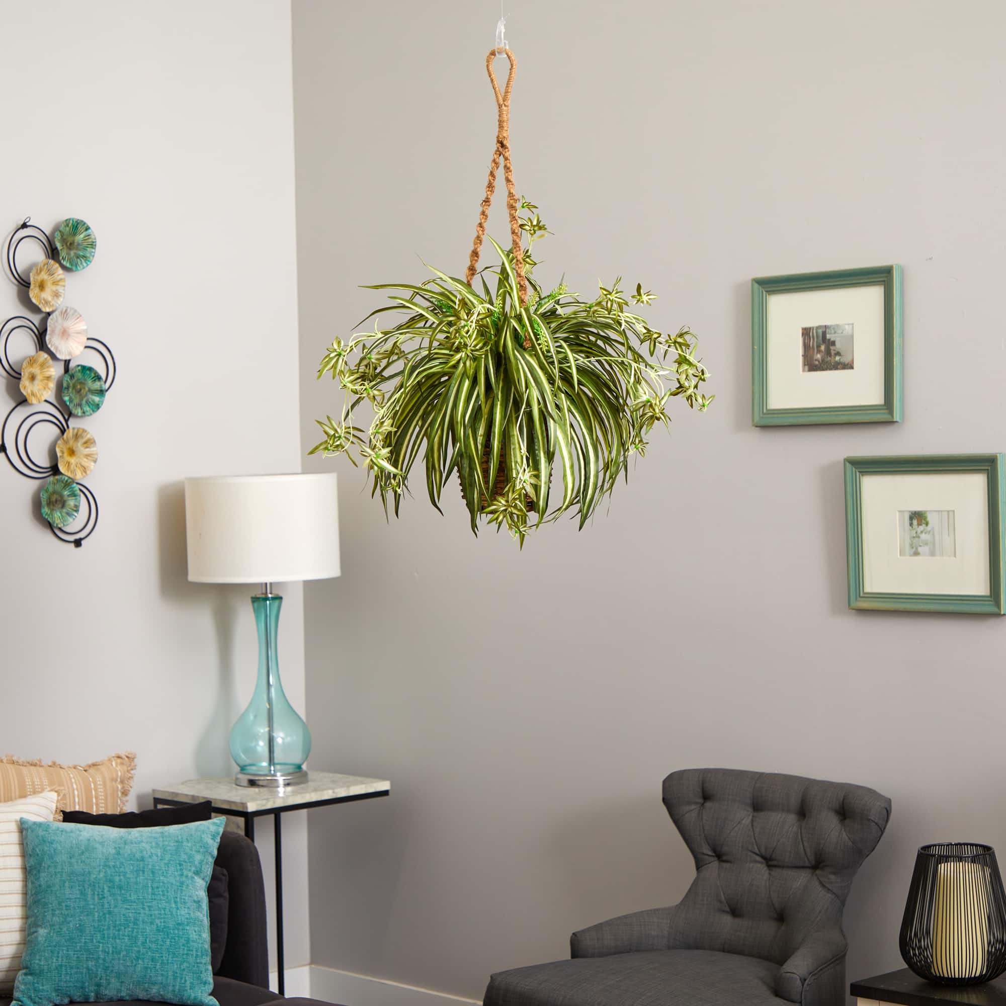 20" Spider Plant Hanging Basket