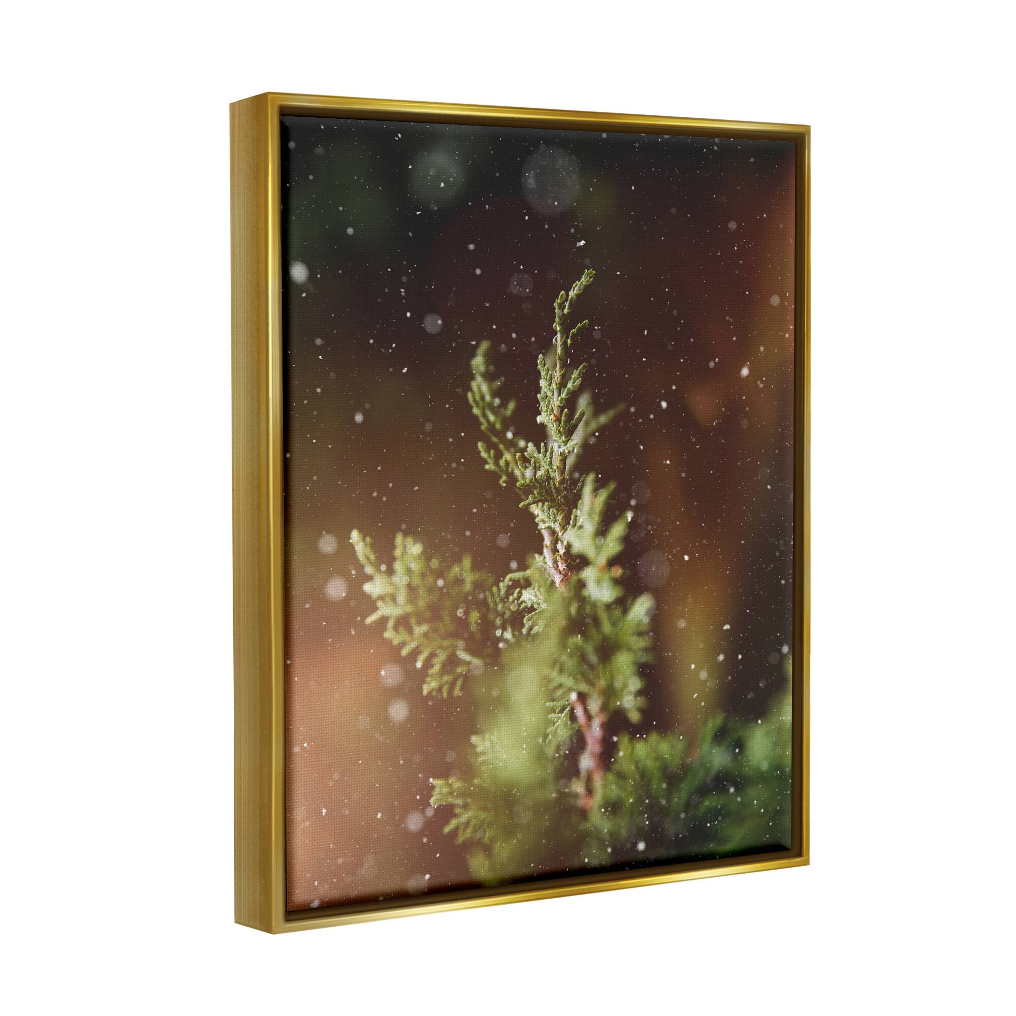 Stupell Industries Winter Snowfall Night Pine Tree Framed Floater Canvas Wall Art