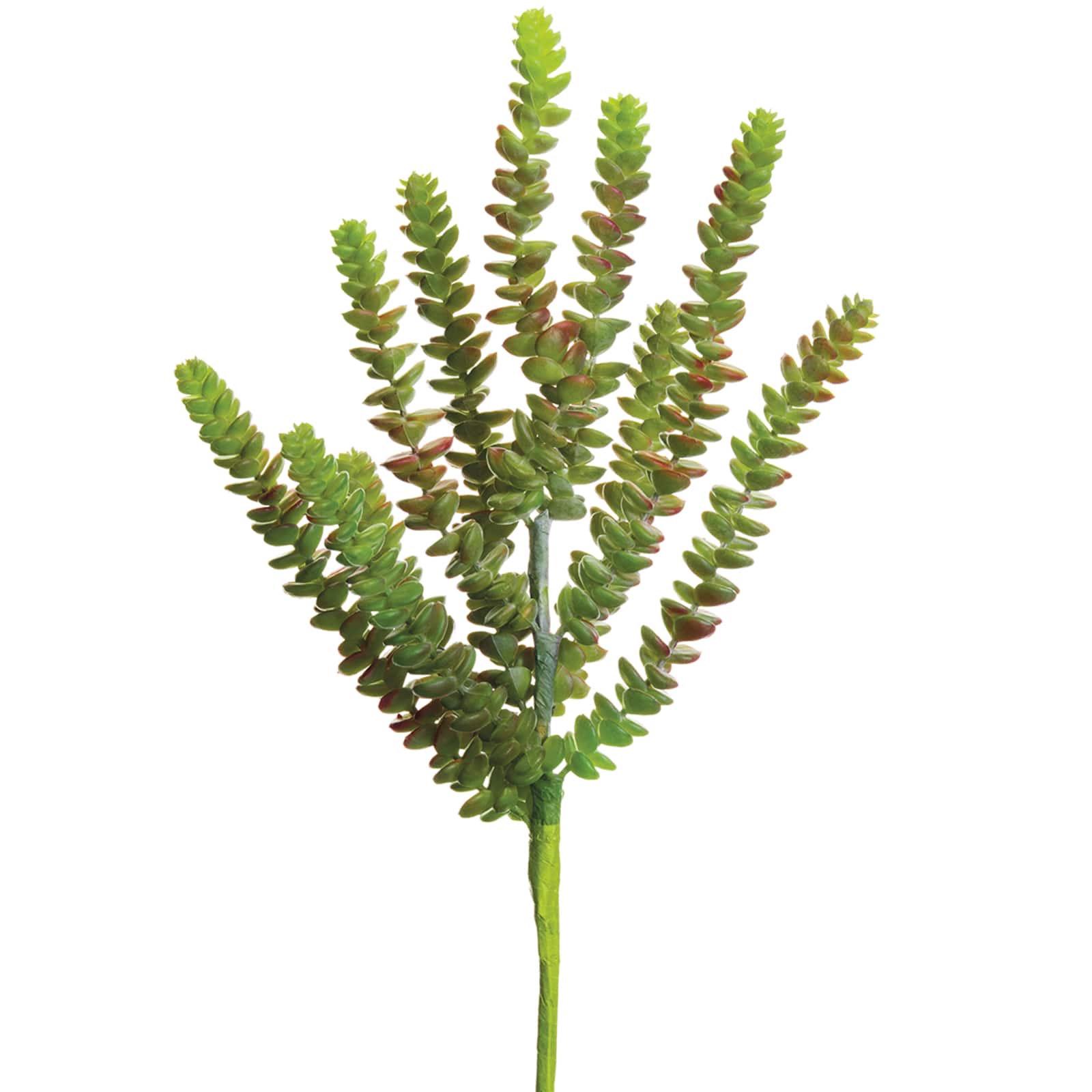 Soft Touch Green & Burgundy Donkey Tail Pick