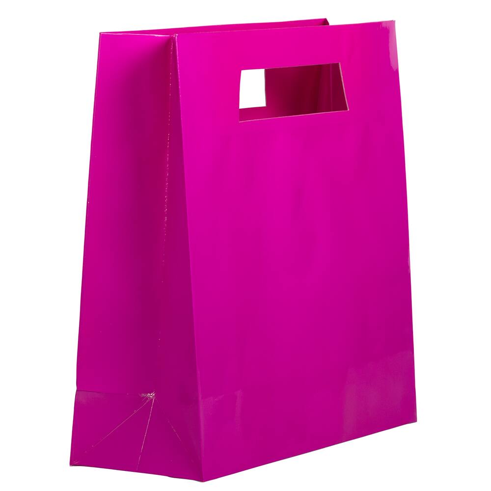 JAM Paper Large Heavy Duty Rectangle Handle Gift Bags