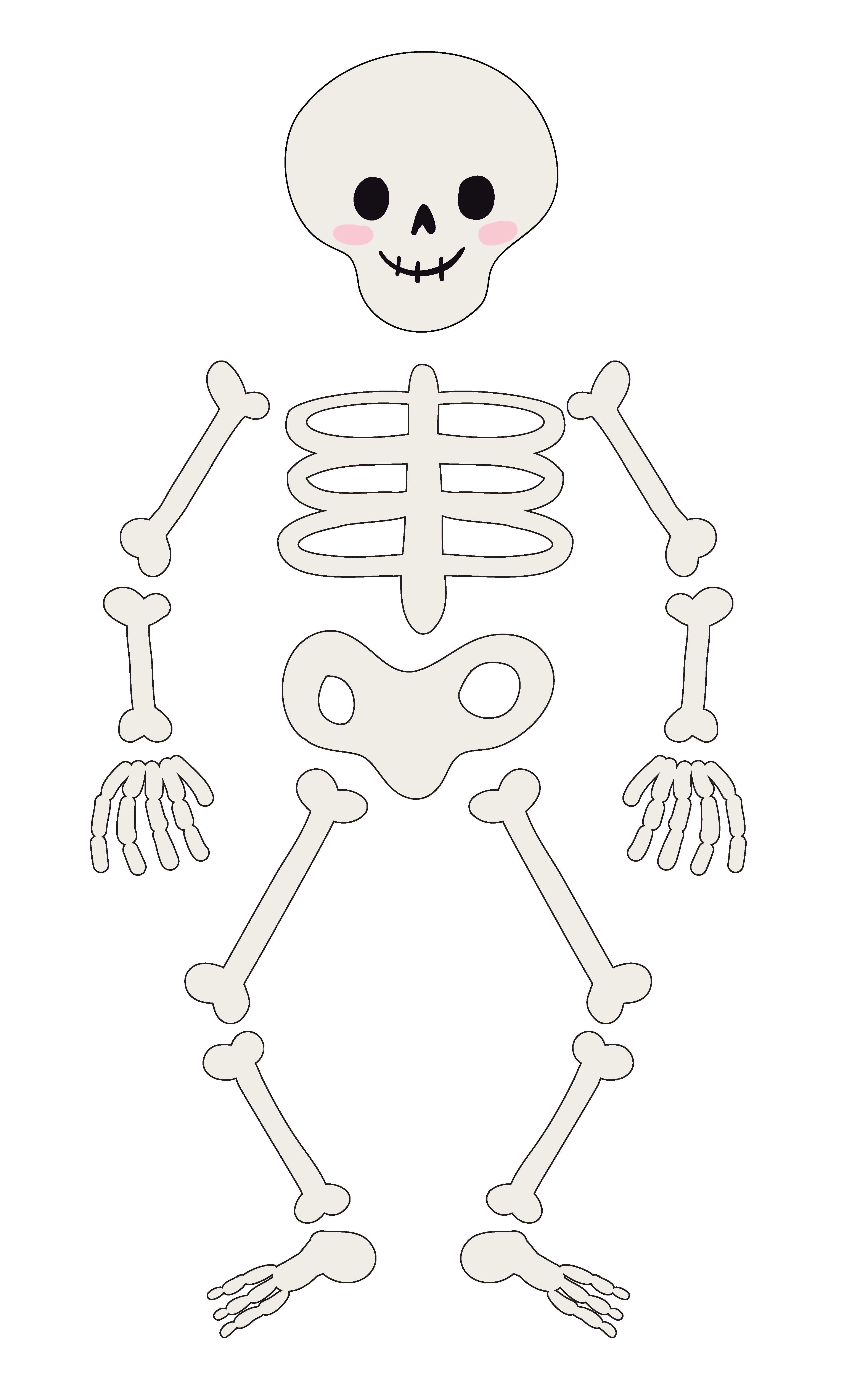 Class Rules! Large Skeleton Die-Cut Classroom Accent Set by B2C™