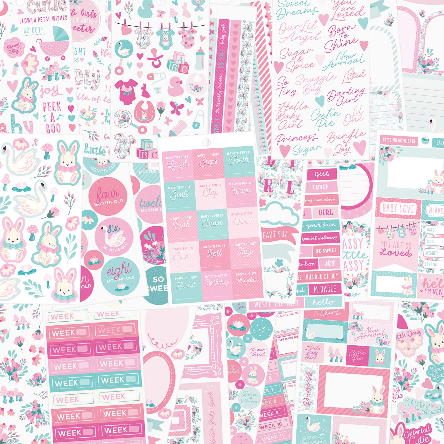 Baby Girl  Sticker Book by Recollections™