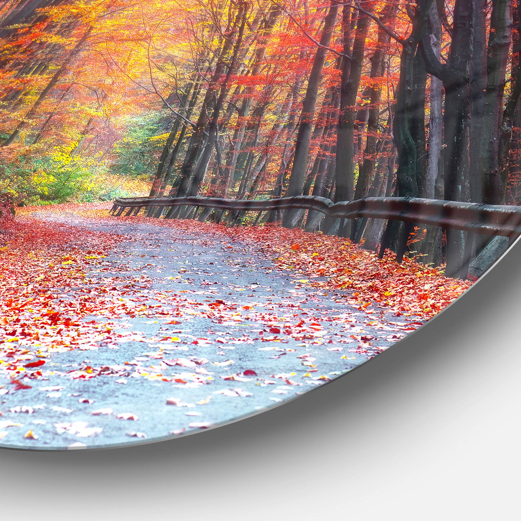 Designart - Road in Beautiful Autumn Forest' Disc Forest Large Metal Circle Wall Art