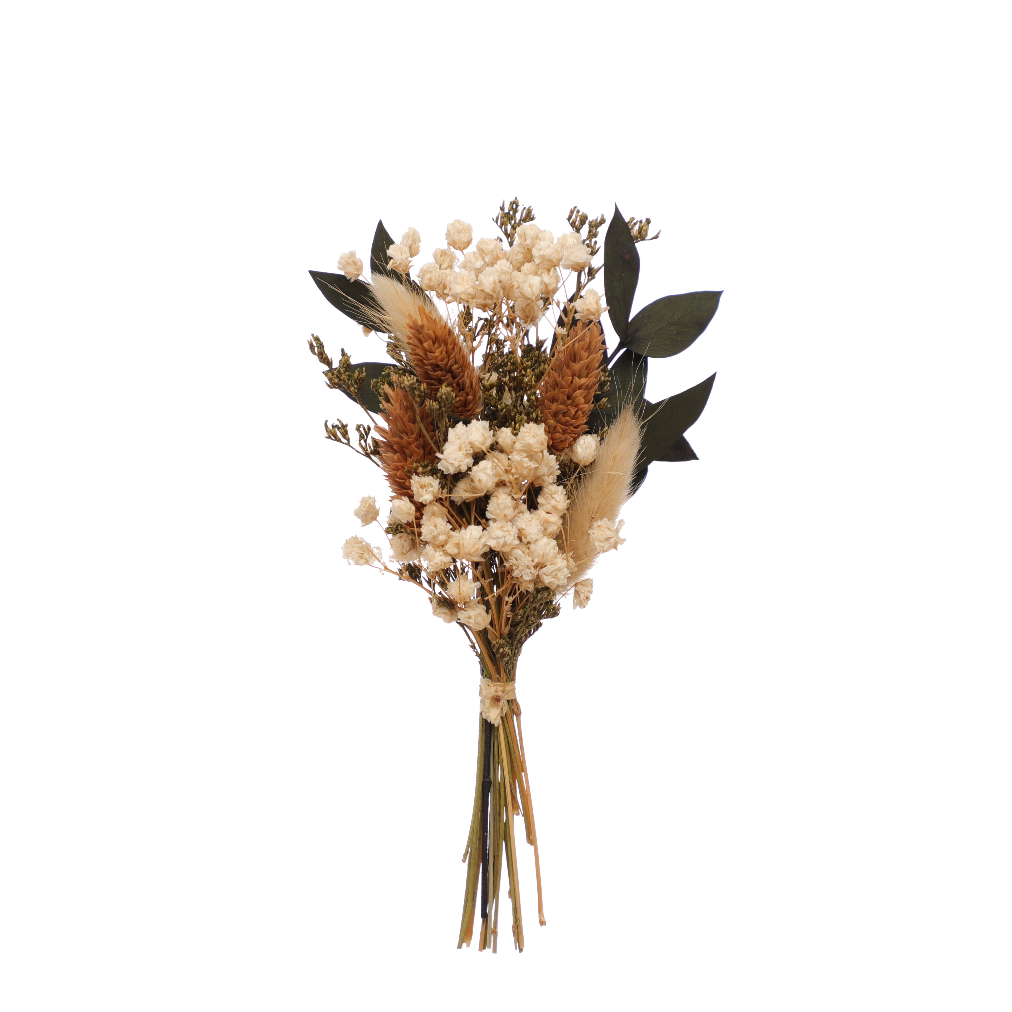 6.7" Dried Mixed Mini Bundle by Ashland®