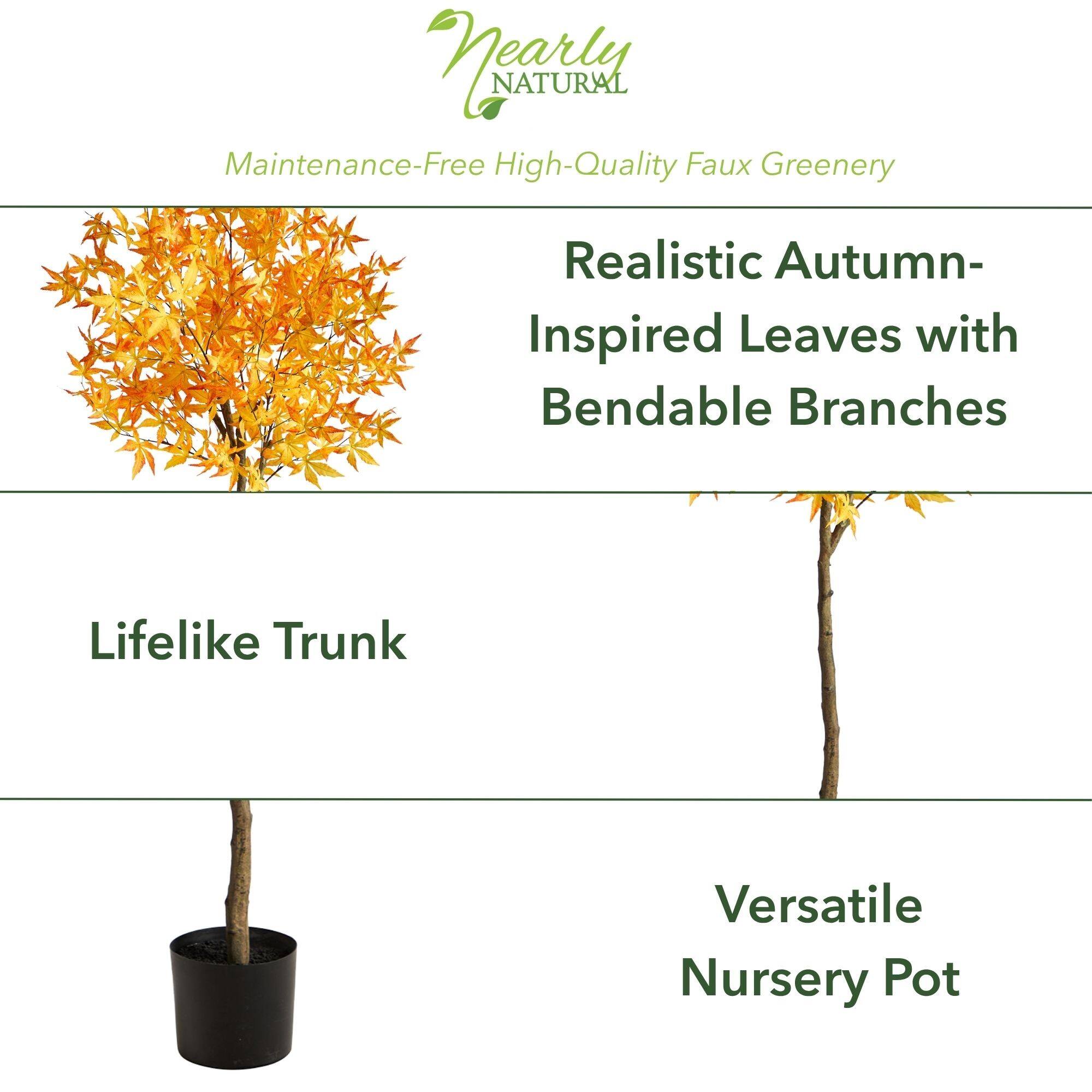 5ft. Potted Yellow Autumn Maple Tree