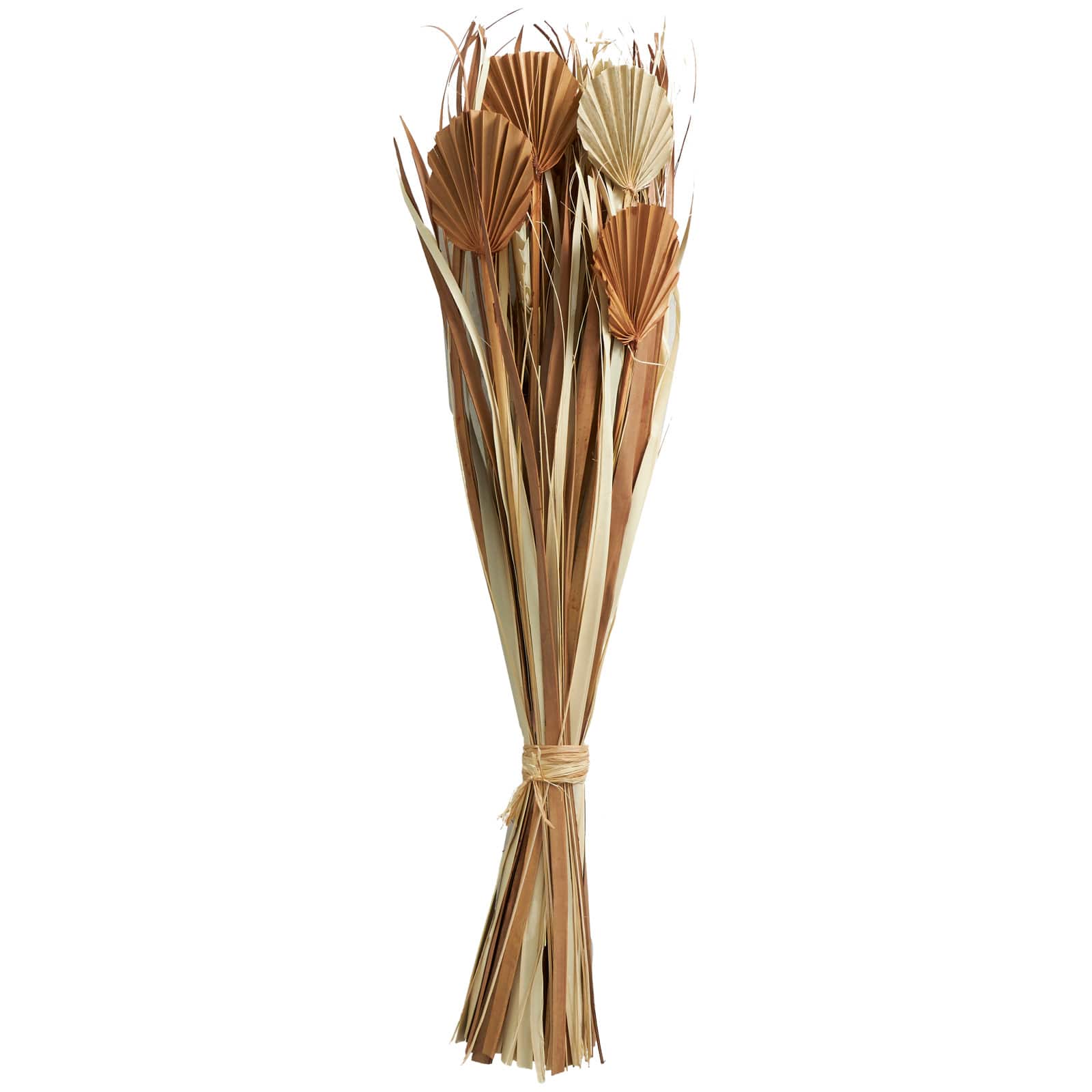 Beige & Tan Dried Grass & Fan Palm Bundle