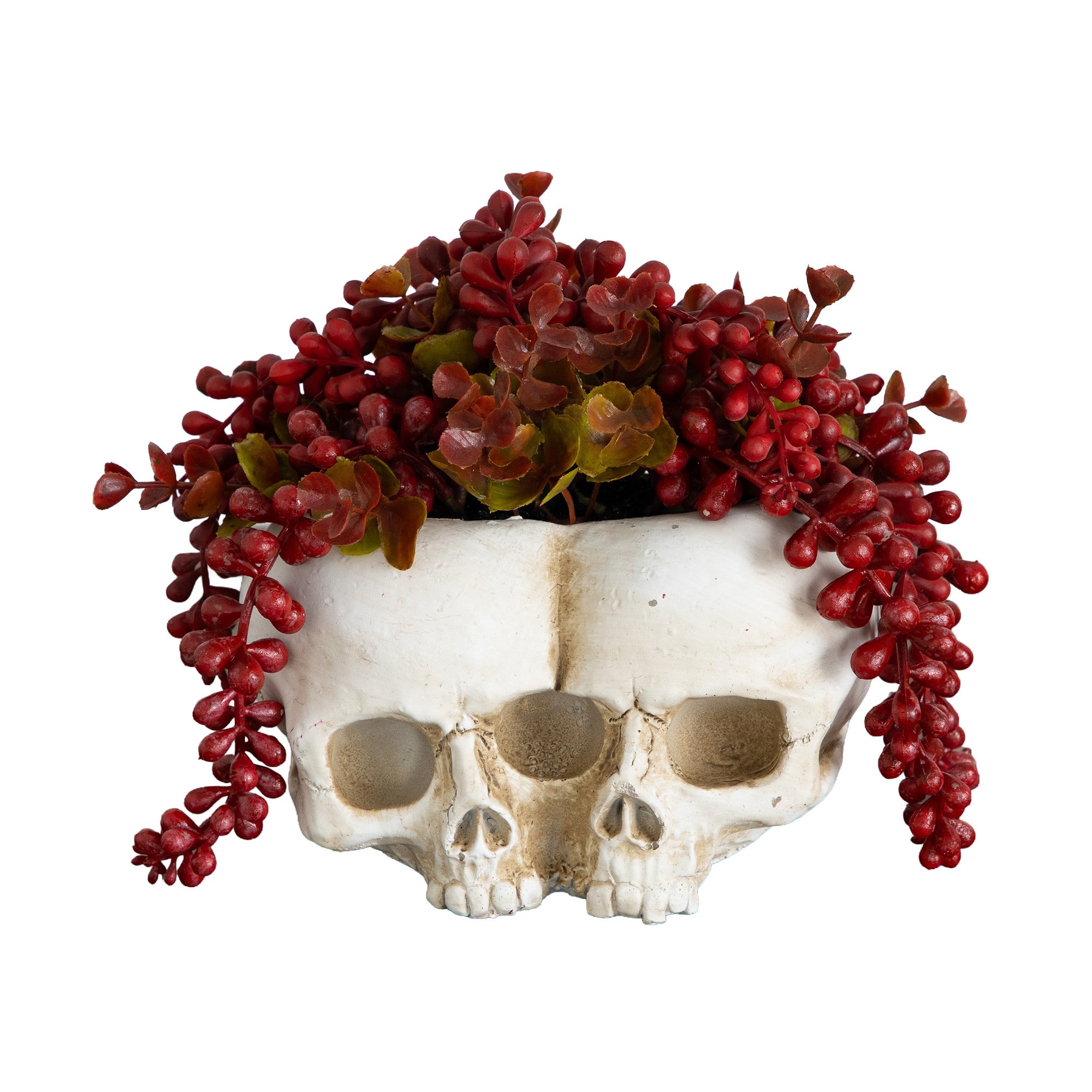 6" Artificial Halloween String of Pearls in Double Skull Planter By Nearly Natural in Red | 8" x 6" x 6" | Michaels®
