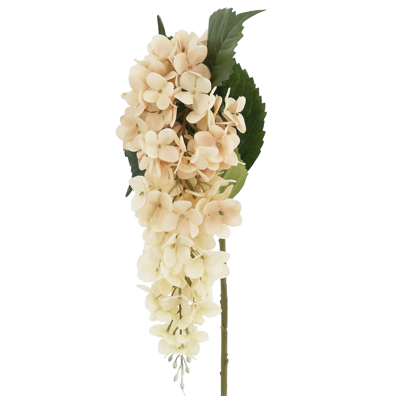 27" Toasted Wisteria Stem by Ashland®
