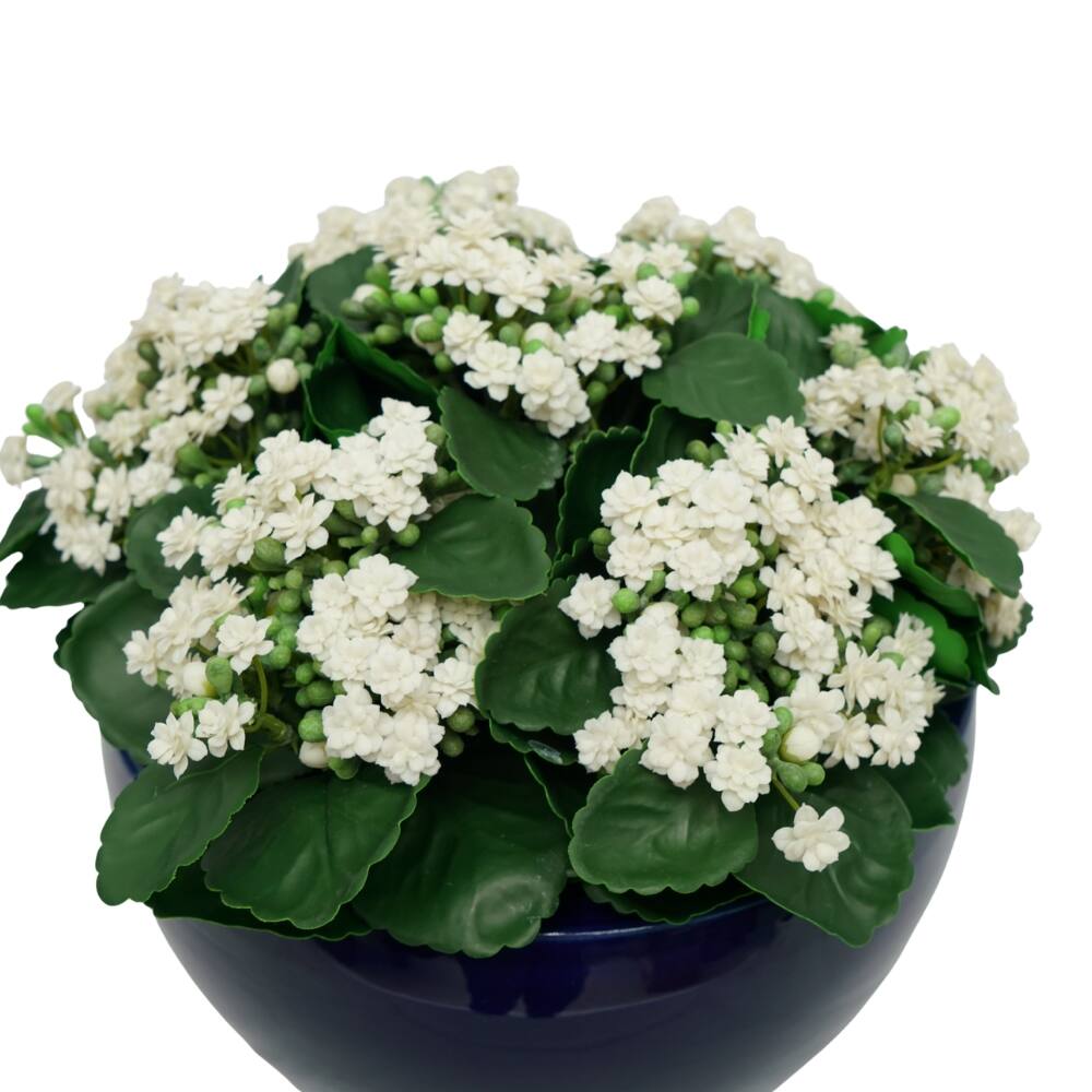 House of Silk Flowers 15" Faux White Kalanchoe in Navy Blue Ceramic Cachepot Arrangement
